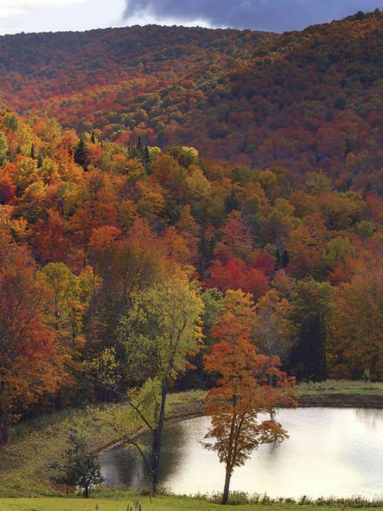 Free download USA Vermont in autumn Autumn Lake Nature Valley Vermont [1242x2208] for your Desktop, Mobile & Tablet. Explore Vermont Wallpaper. Vermont Wallpaper, Vermont Autumn Wallpaper, Vermont Autumn Background Wallpaper