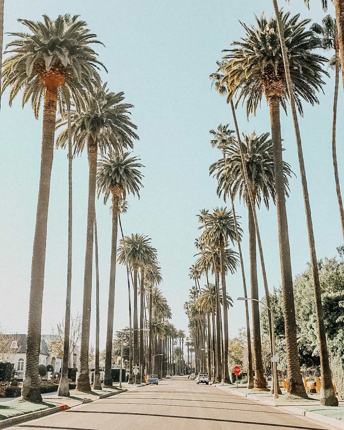 HOW TO HAVE A GREAT DAY IN BEVERLY HILLS DOESN'T INVOLVE RODEO DRIVE & Loathing Los Angeles. California wallpaper, Los angeles travel, Travel aesthetic