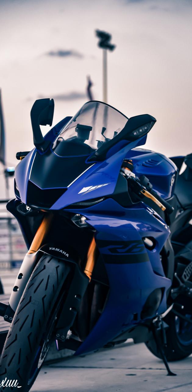 she got that crazy look in her eyes . . . #yamaha #r6 #yamahar6 #bike... |  TikTok