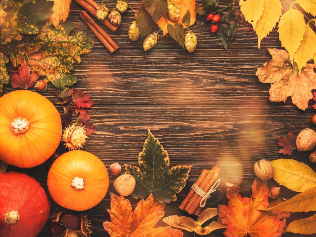 Amazing Thanksgiving Background 2021 for family and friends