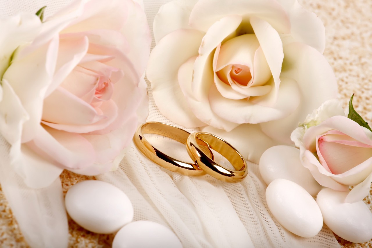 rings wedding roses composition 3D Models. Free