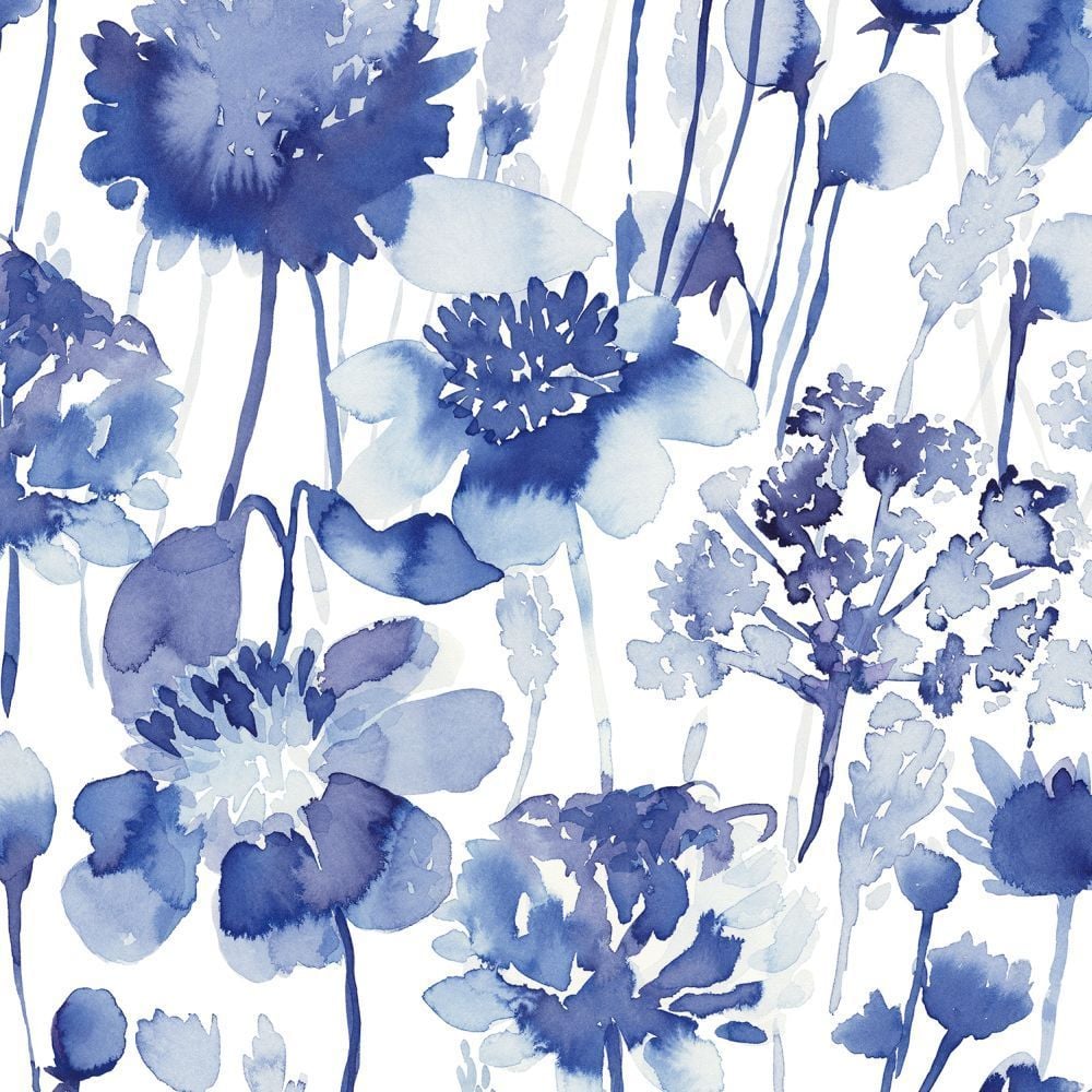 Download Cornflower Blue Flower White Picture  Wallpaperscom