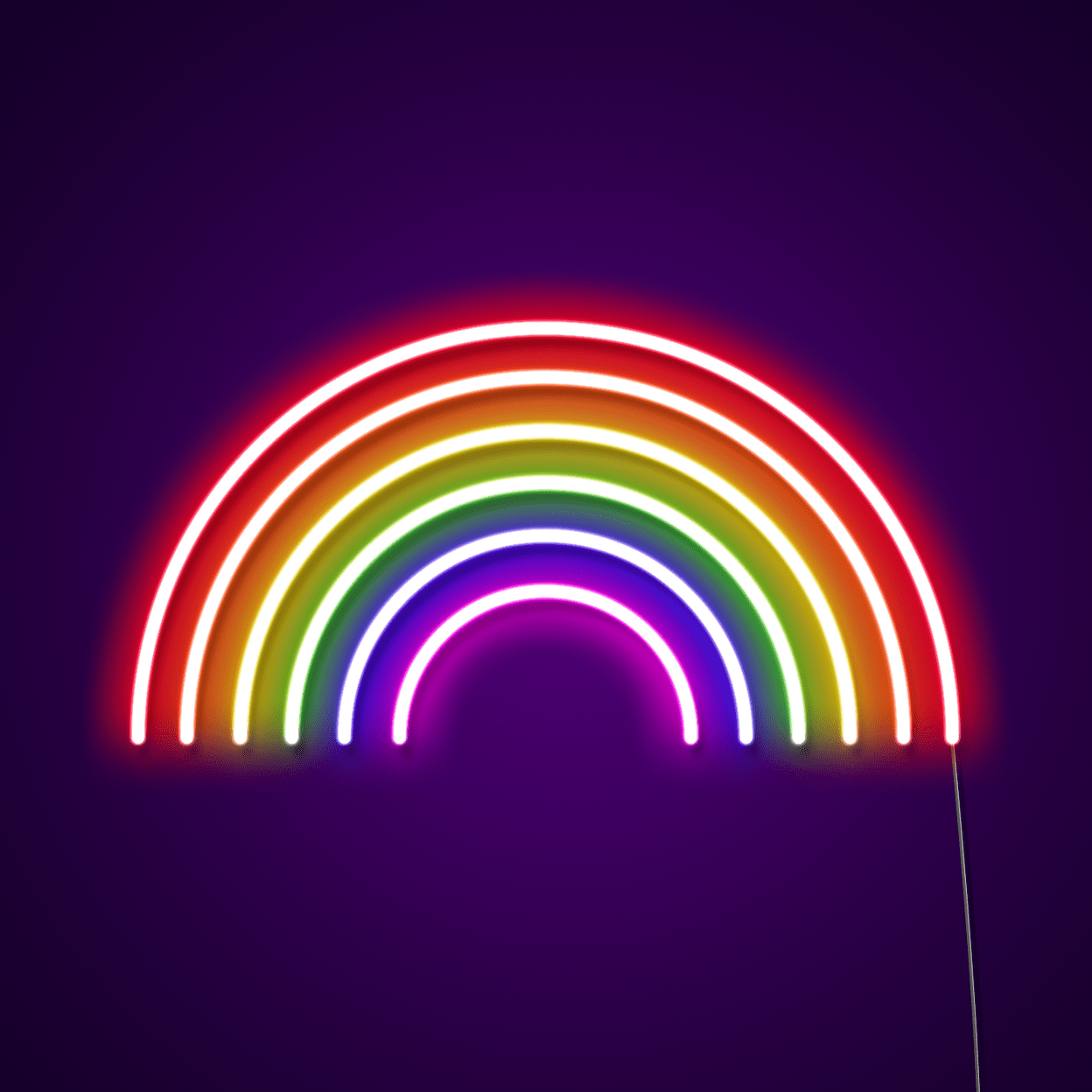 Rainbow LED Neon Light Sign. Neon LED Sign