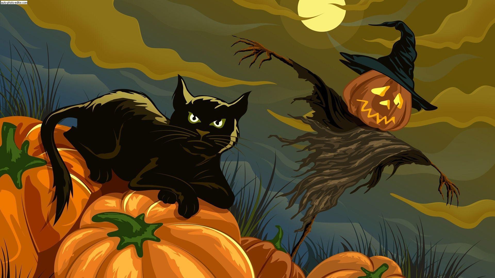 Cat Wallpaper For Halloween 2020 (High Quality Resolution)