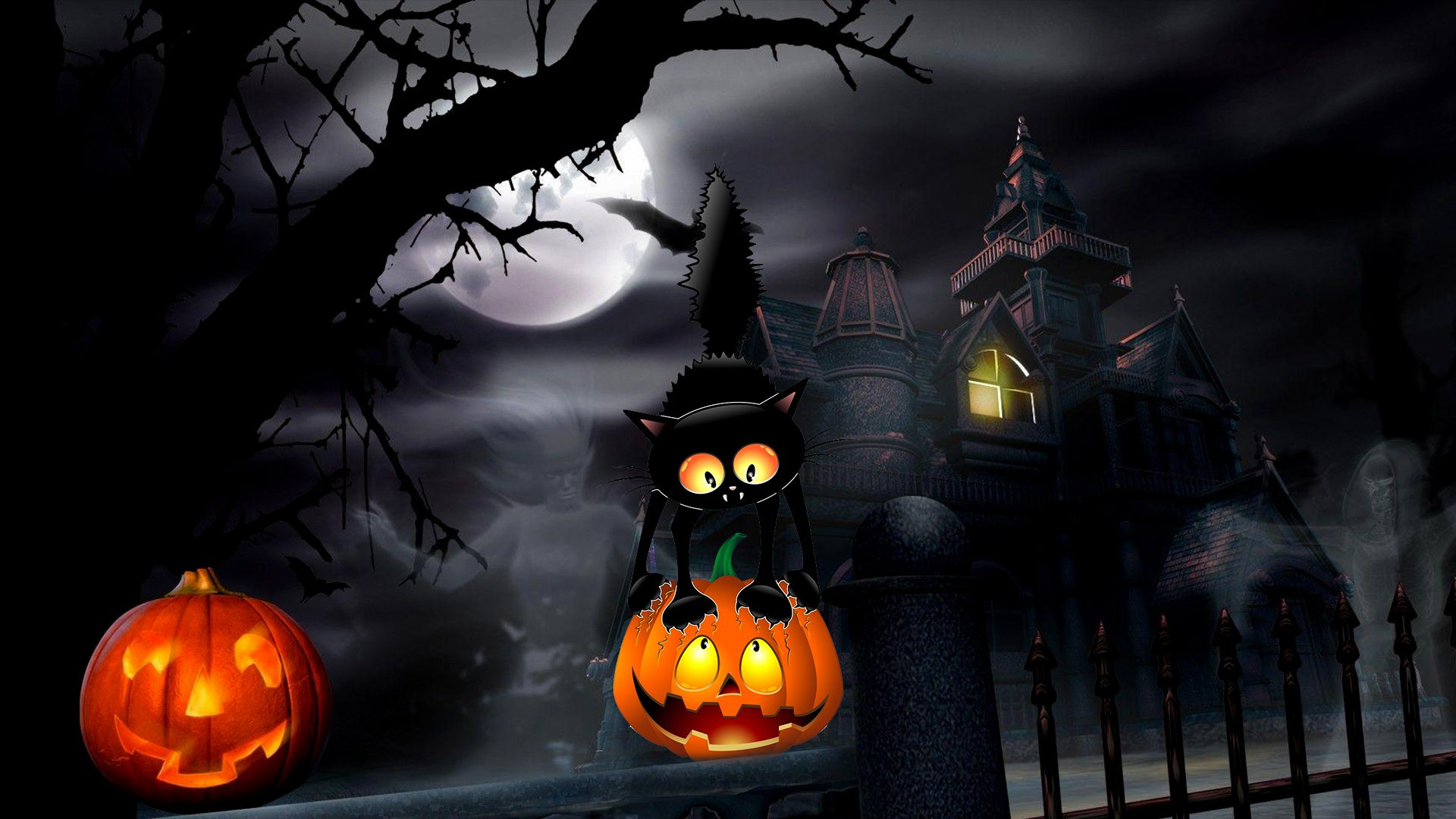 Halloween Black Cat Wallpaper Full HD 34682
