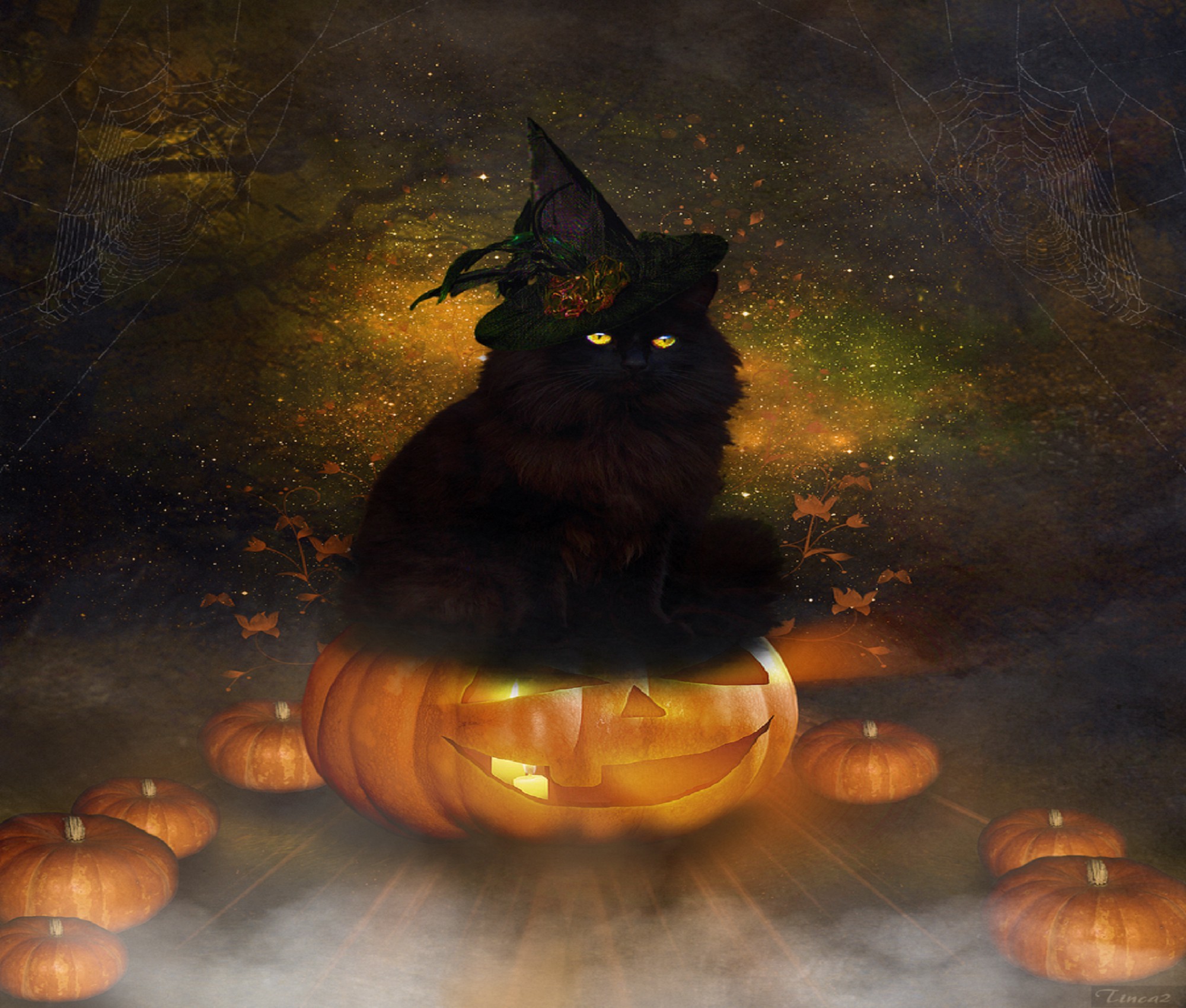 cute halloween wallpaper, cat, black cat, trick or treat, felidae, small to medium sized cats
