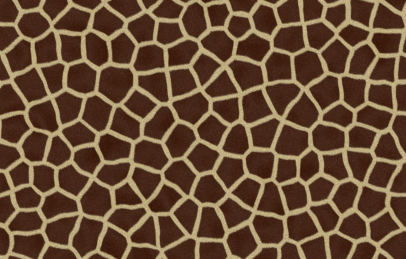 Wallpaper nature, pattern, animal, giraffe, skin, Giraffe Skin Pattern image for desktop, section текстуры
