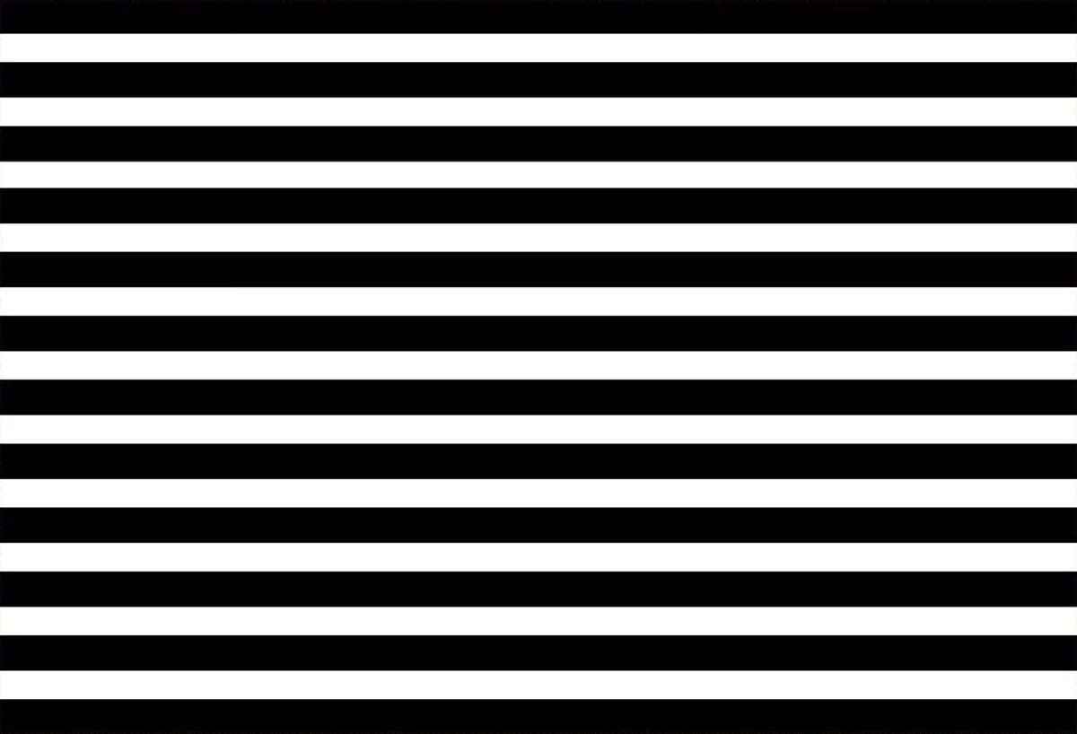 Amazon.com, HMTFOTO 8X8ft (240cmX240cm) Black and White Striped Background for Baby Photography Backdrops Photo Backdrop(with Pocket)