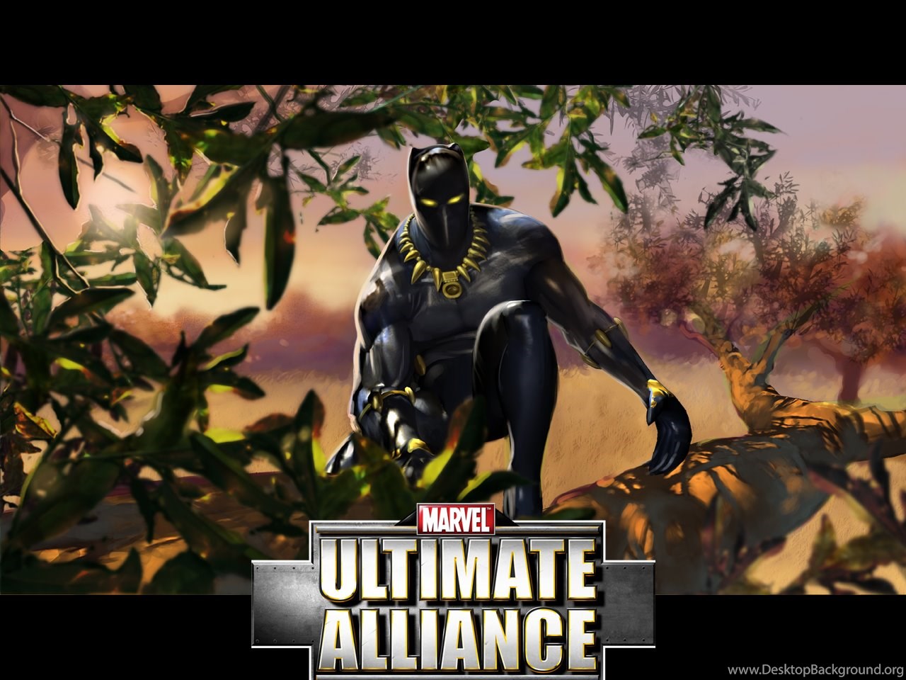 Black Panther - Marvel Ultimate Alliance Wallpaper. Desktop Background