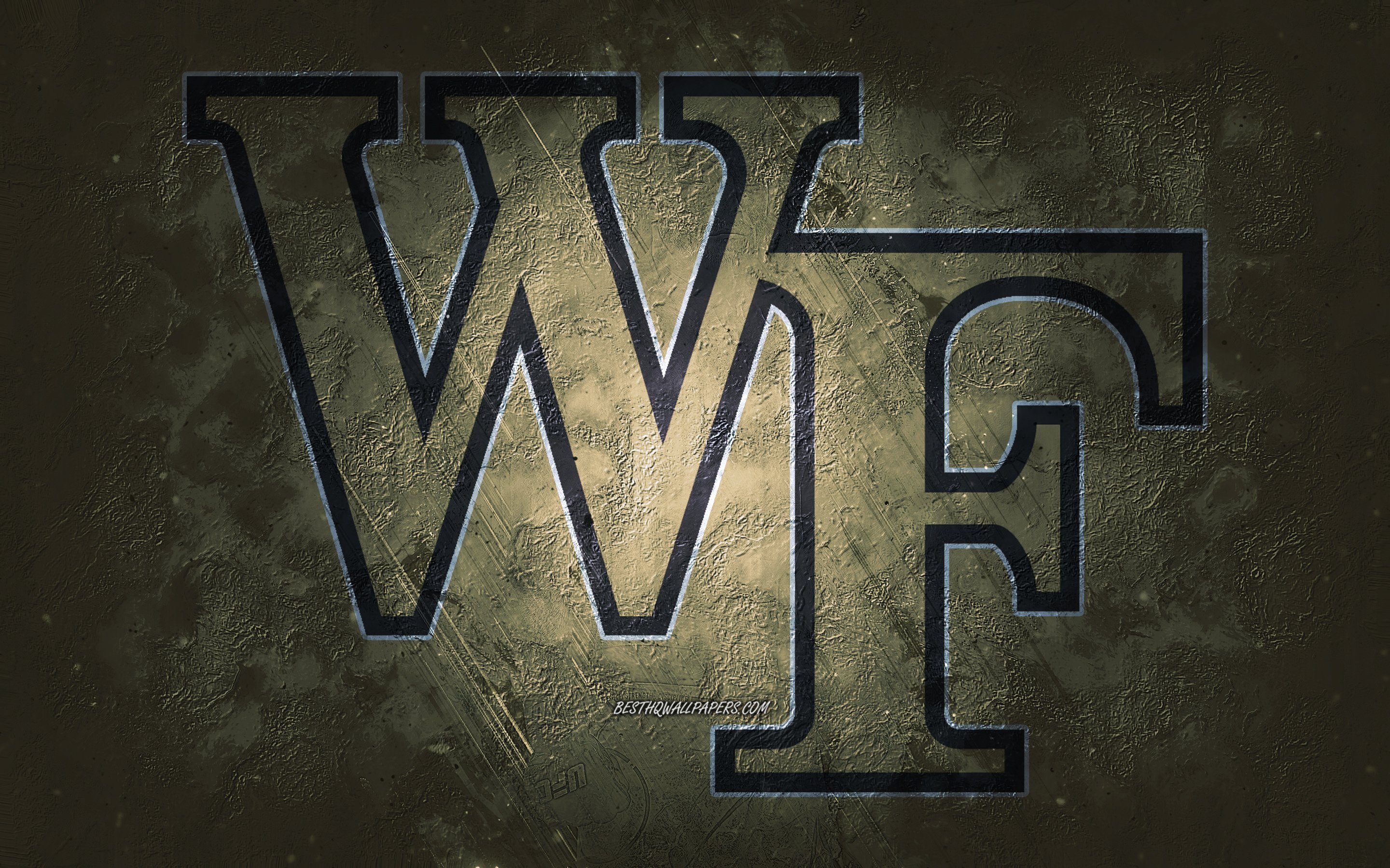Download wallpaper Wake Forest Demon Deacons, American football team, brown background, Wake Forest Demon Deacons logo, grunge art, NCAA, American football, Wake Forest Demon Deacons emblem for desktop with resolution 2880x1800. High