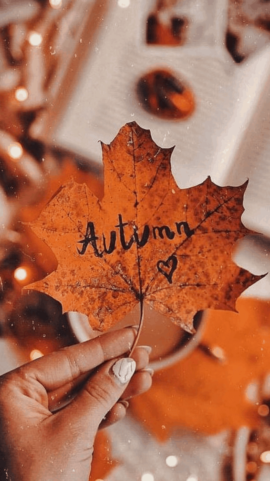 Cute Fall Wallpaper For iPhone That Are Absolutely Free