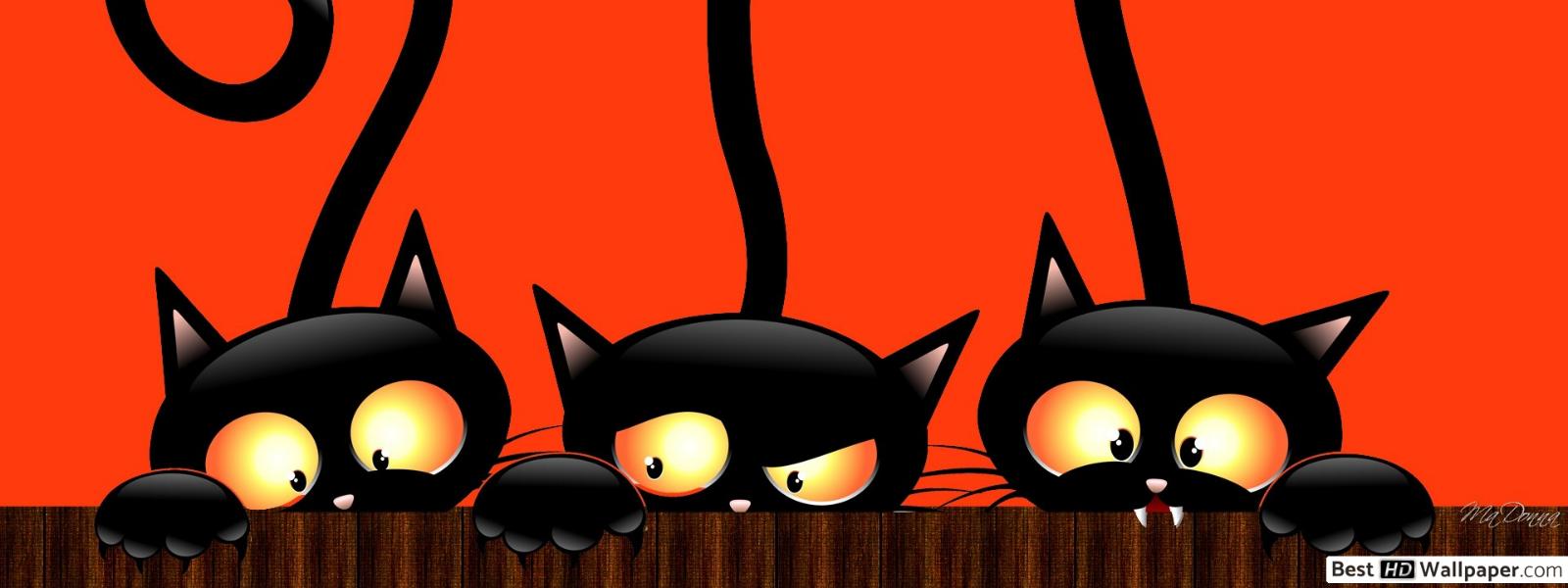 Three black cats HD wallpaper download