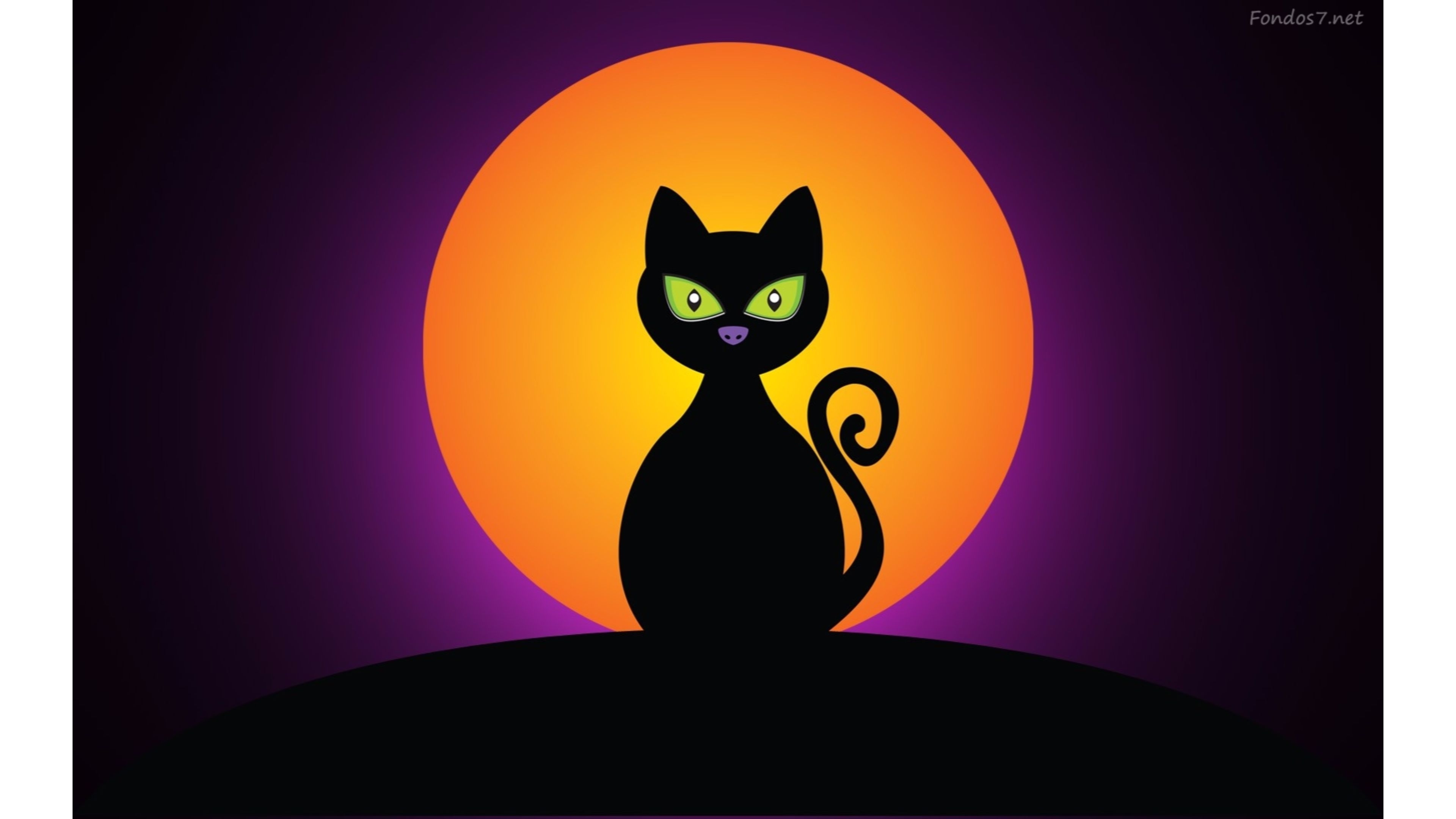 New Halloween Black Cats Wallpaper FULL HD 1920×1080 For PC Desk