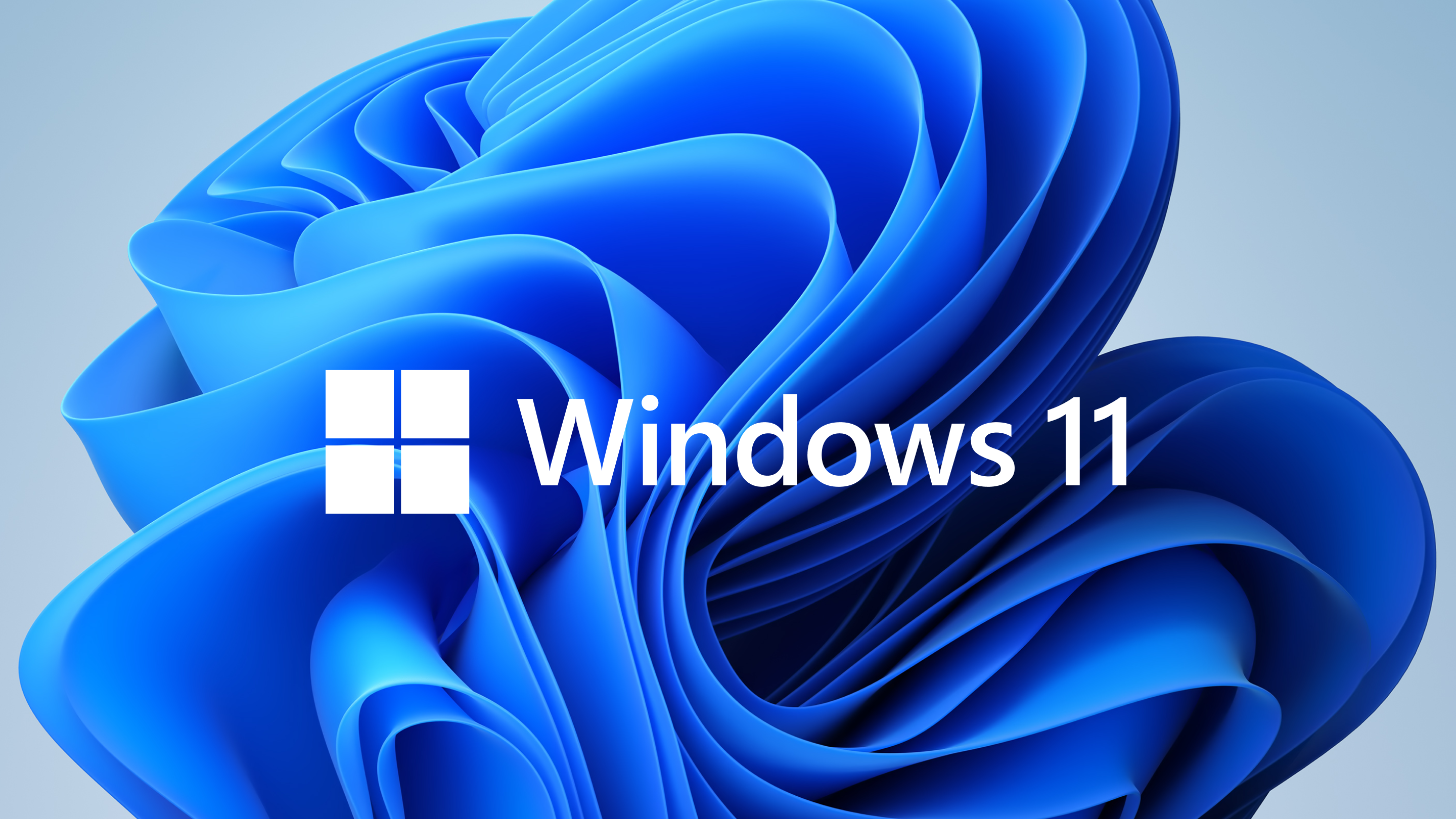 Windows 11 users discover controversial new design detail