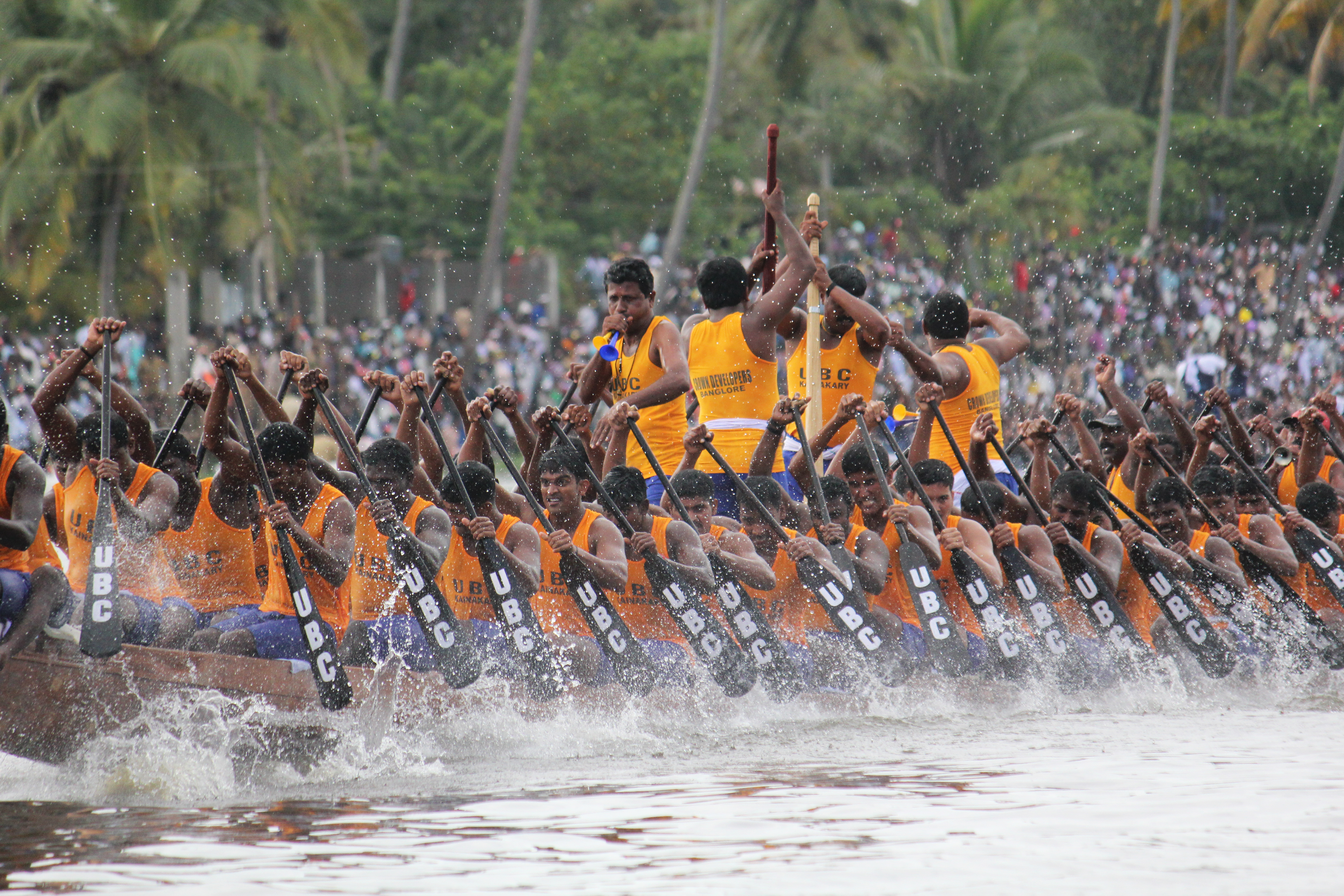 Vallamkali Water Regattas of Kerala. Kerala Boat Races. Onam. Kerala Backwaters