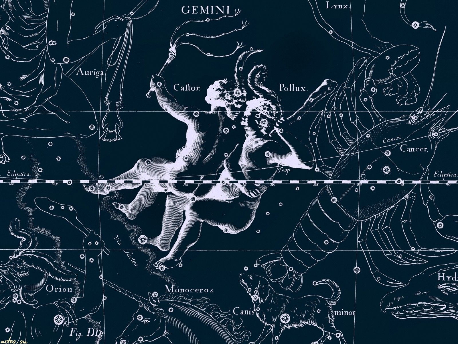 Star chart, twins wallpaper and image, picture, photo