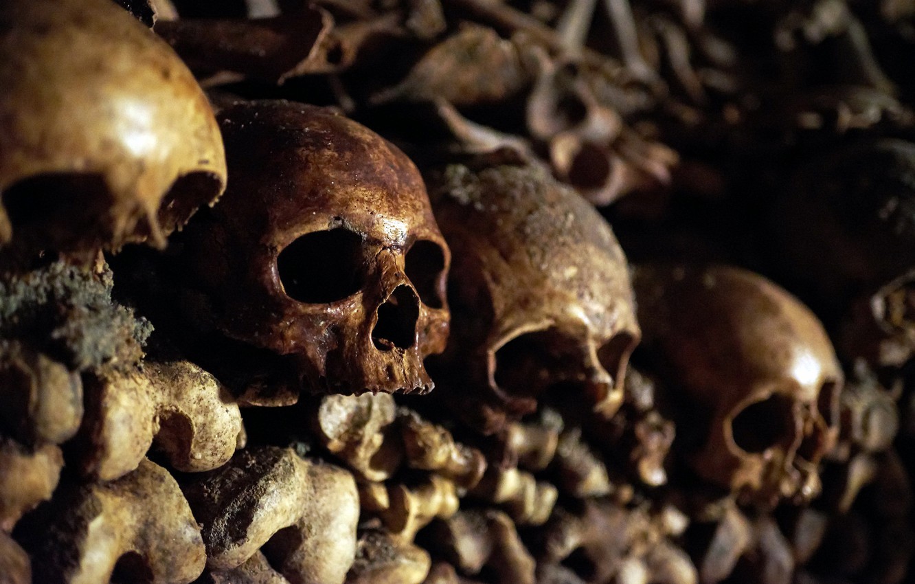 Wallpaper bones, skull, catacombs image for desktop, section разное