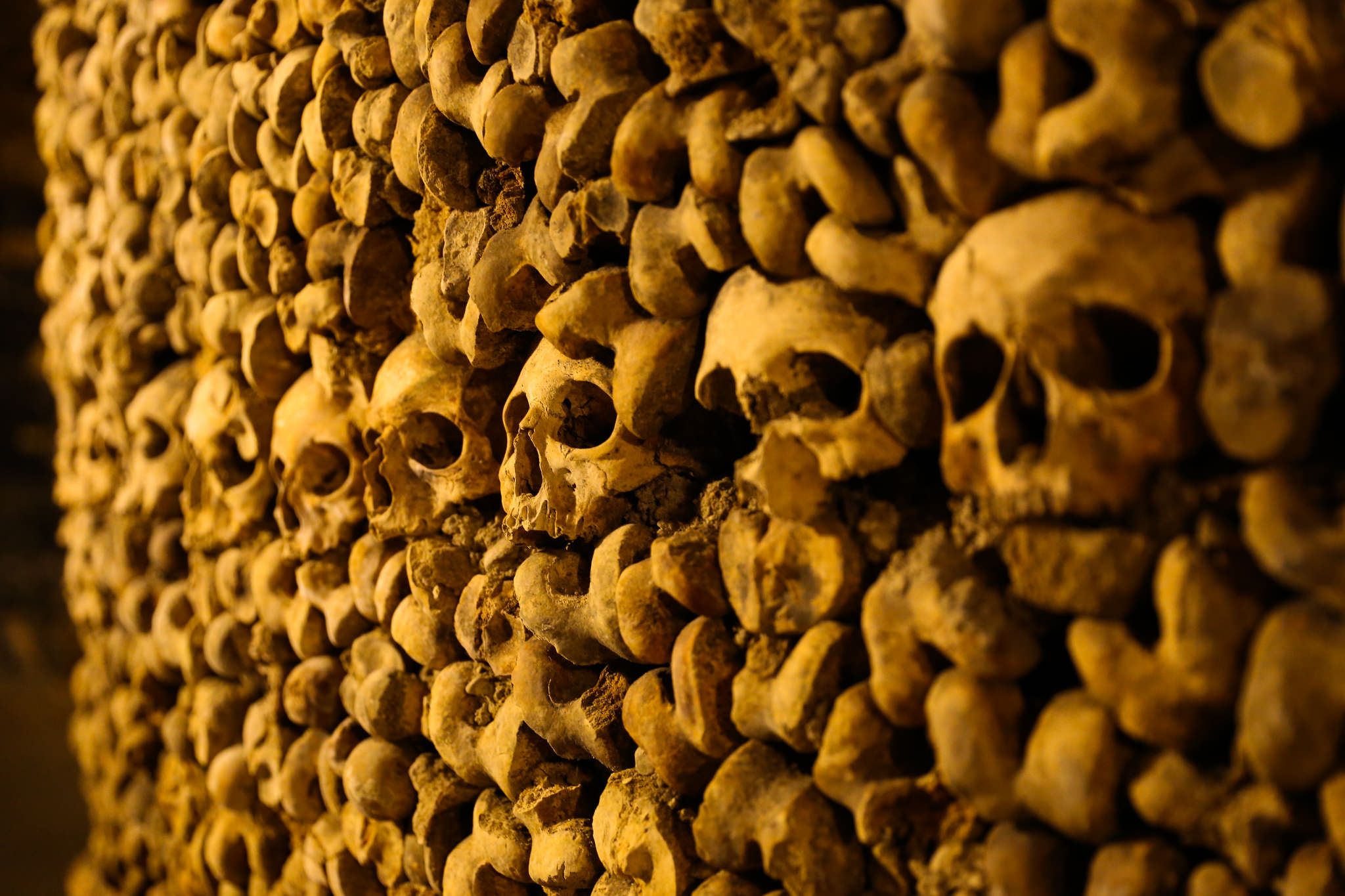 Catacombes de Paris. Skull wallpaper, Skull, Catacombs