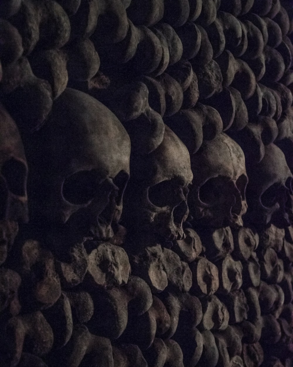 Catacombs Of Paris Picture. Download Free Image