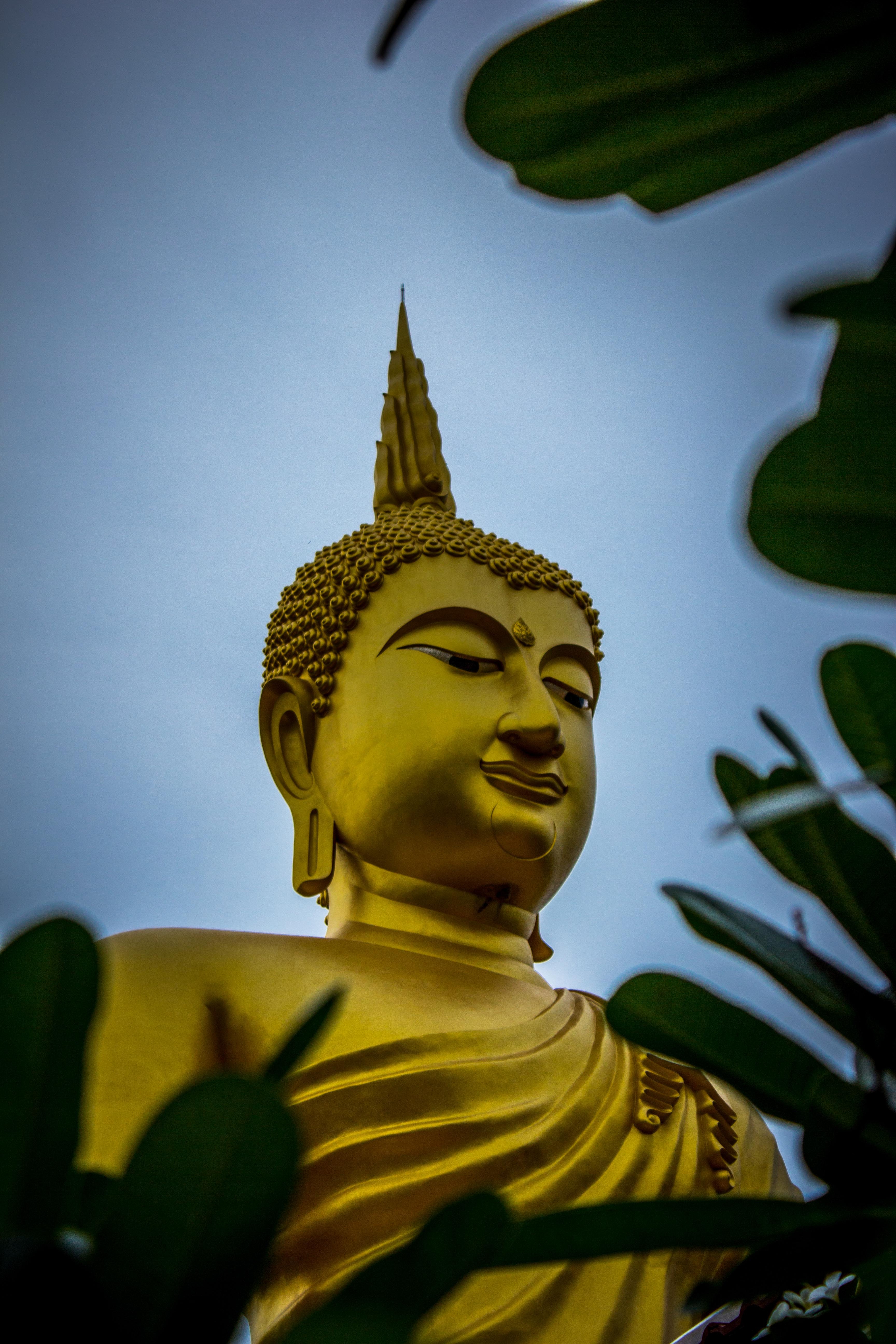 Gautama Buddha Statue · Free