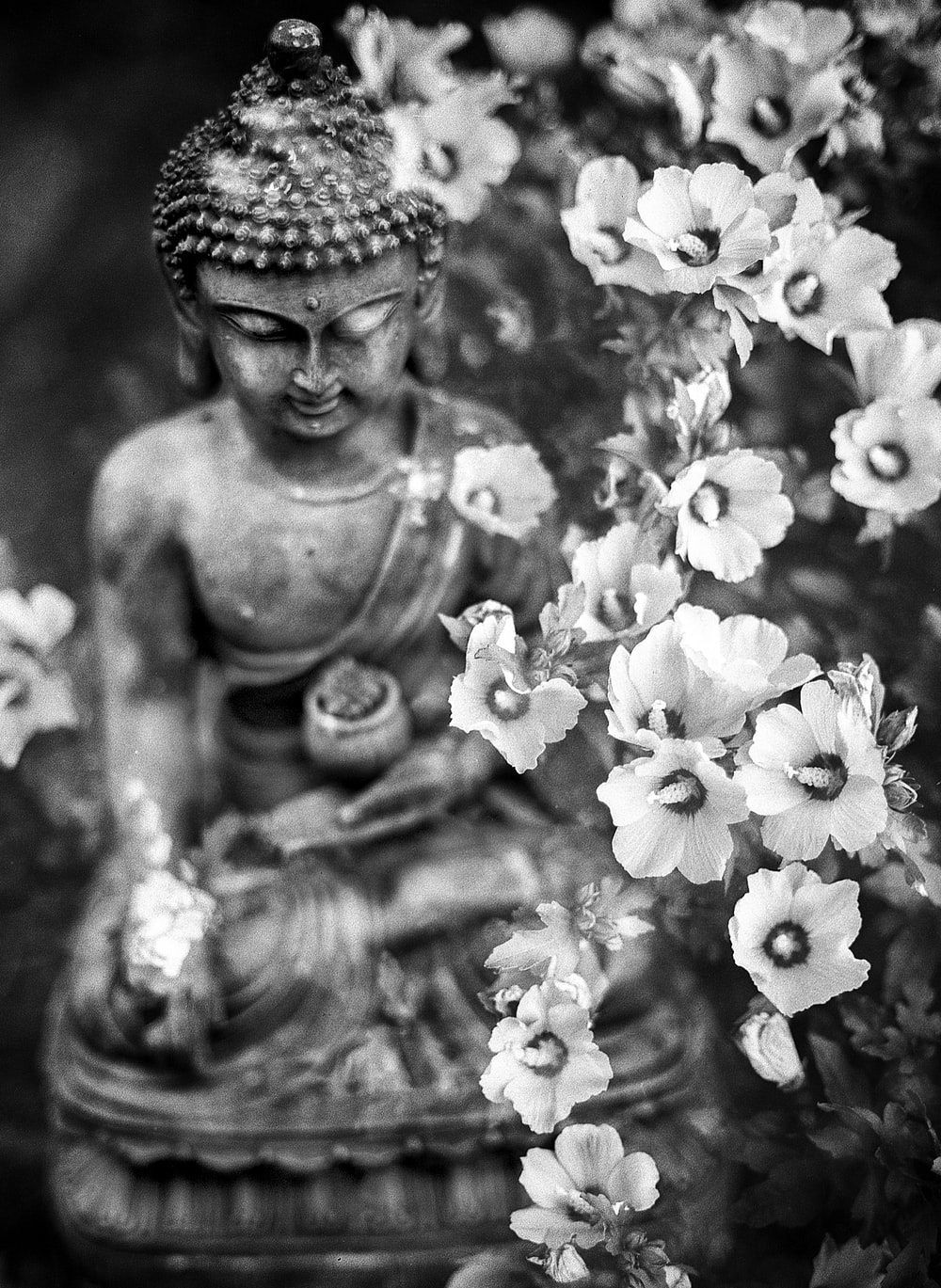 Buddha Wallpaper: Free HD Download [HQ]