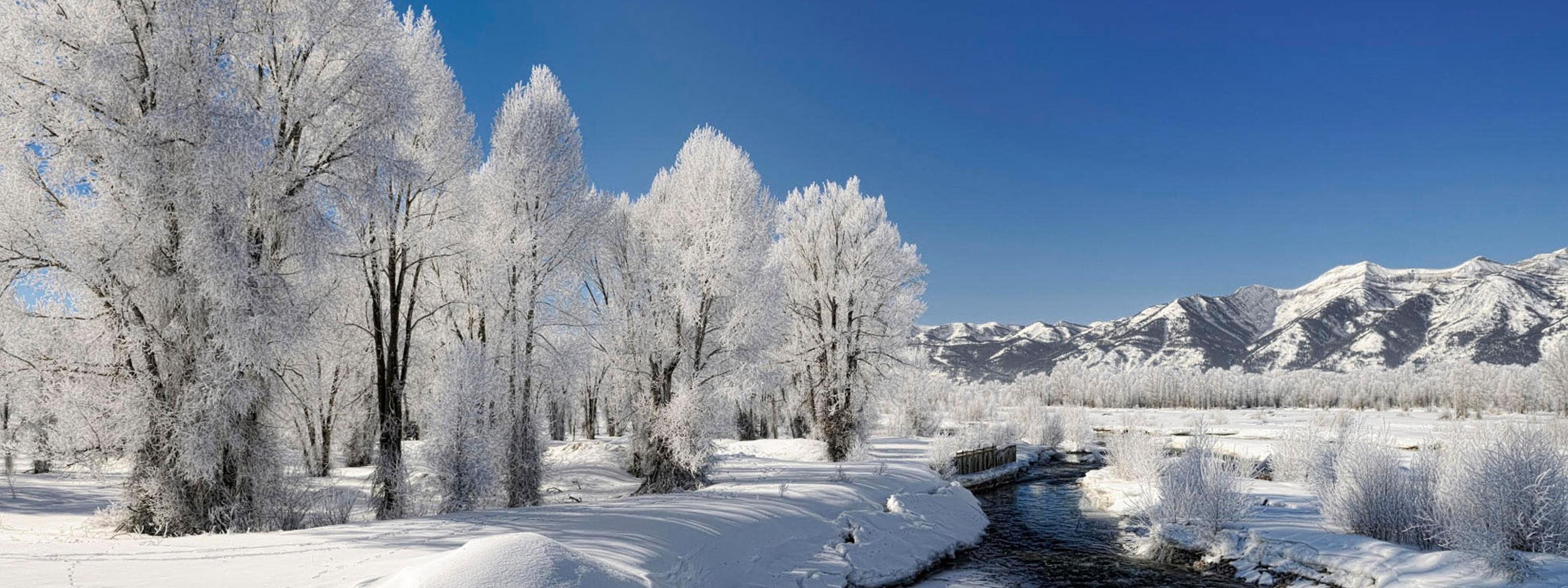 Frozen river white winter landscape