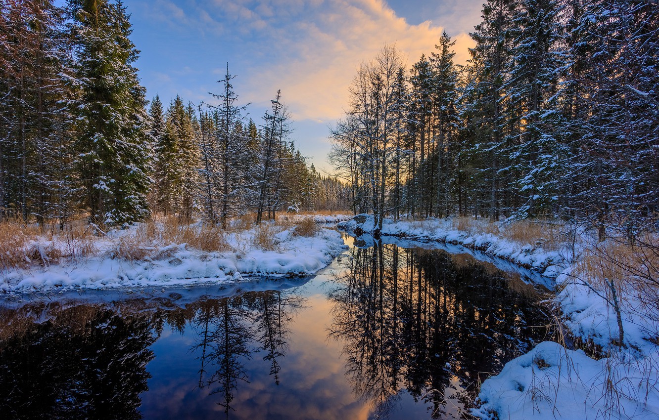 Wallpaper winter, forest, water, snow, trees, reflection, the snow, river, Sweden, Arvika image for desktop, section природа