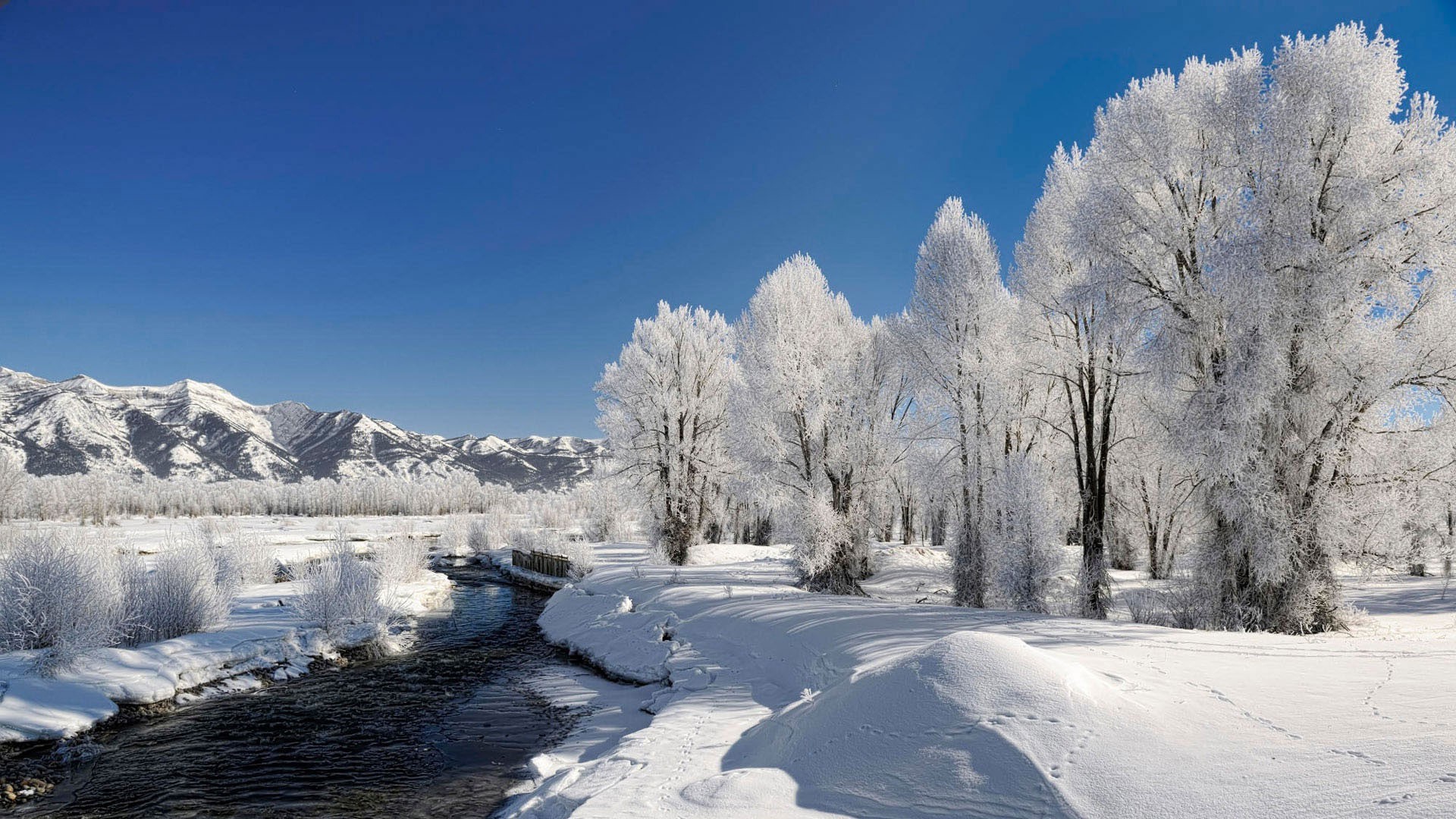 1920x1080 Trees, Hoarfrost, Winter, River, Source, Current, Day wallpaper JPG