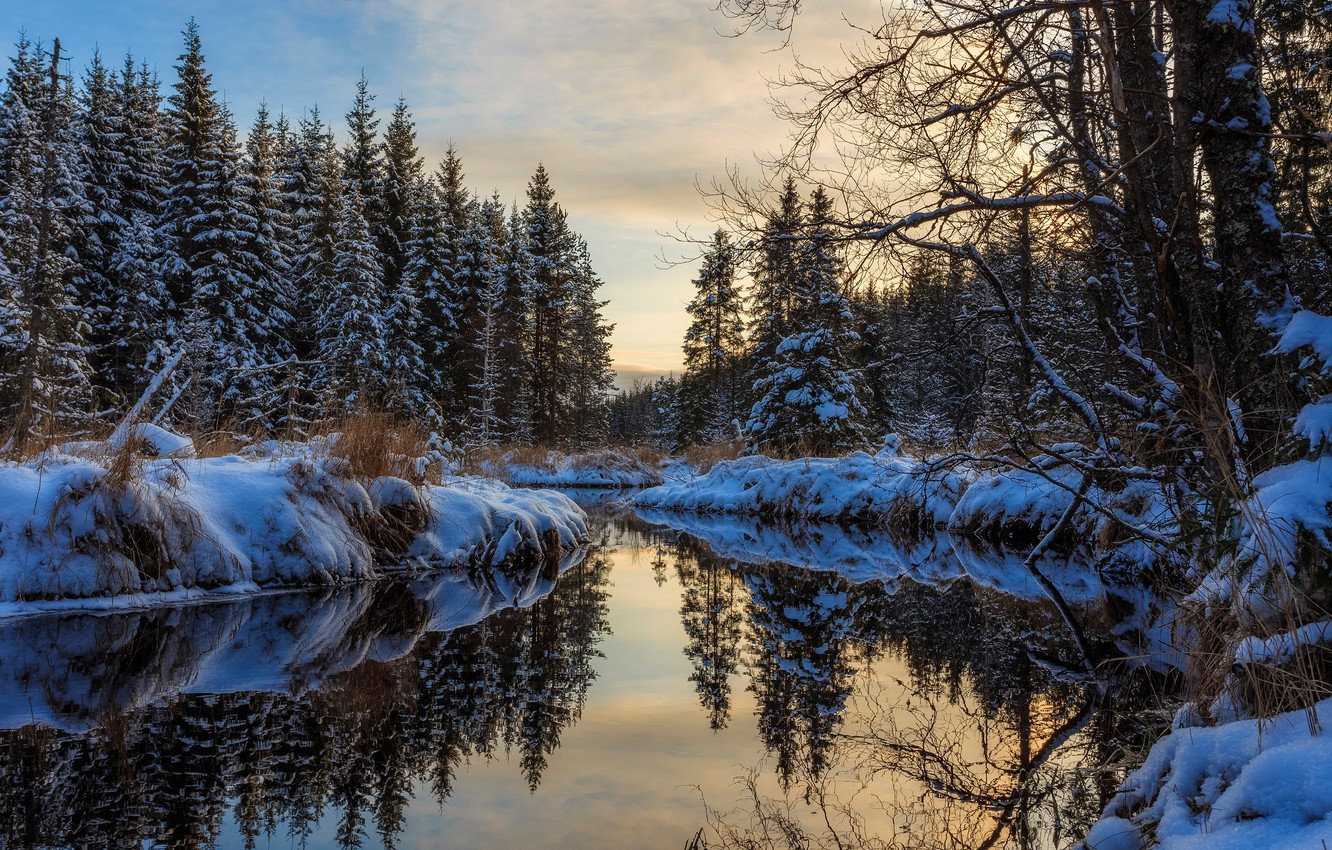 Wallpaper winter, forest, water, snow, trees, reflection, river image for desktop, section природа