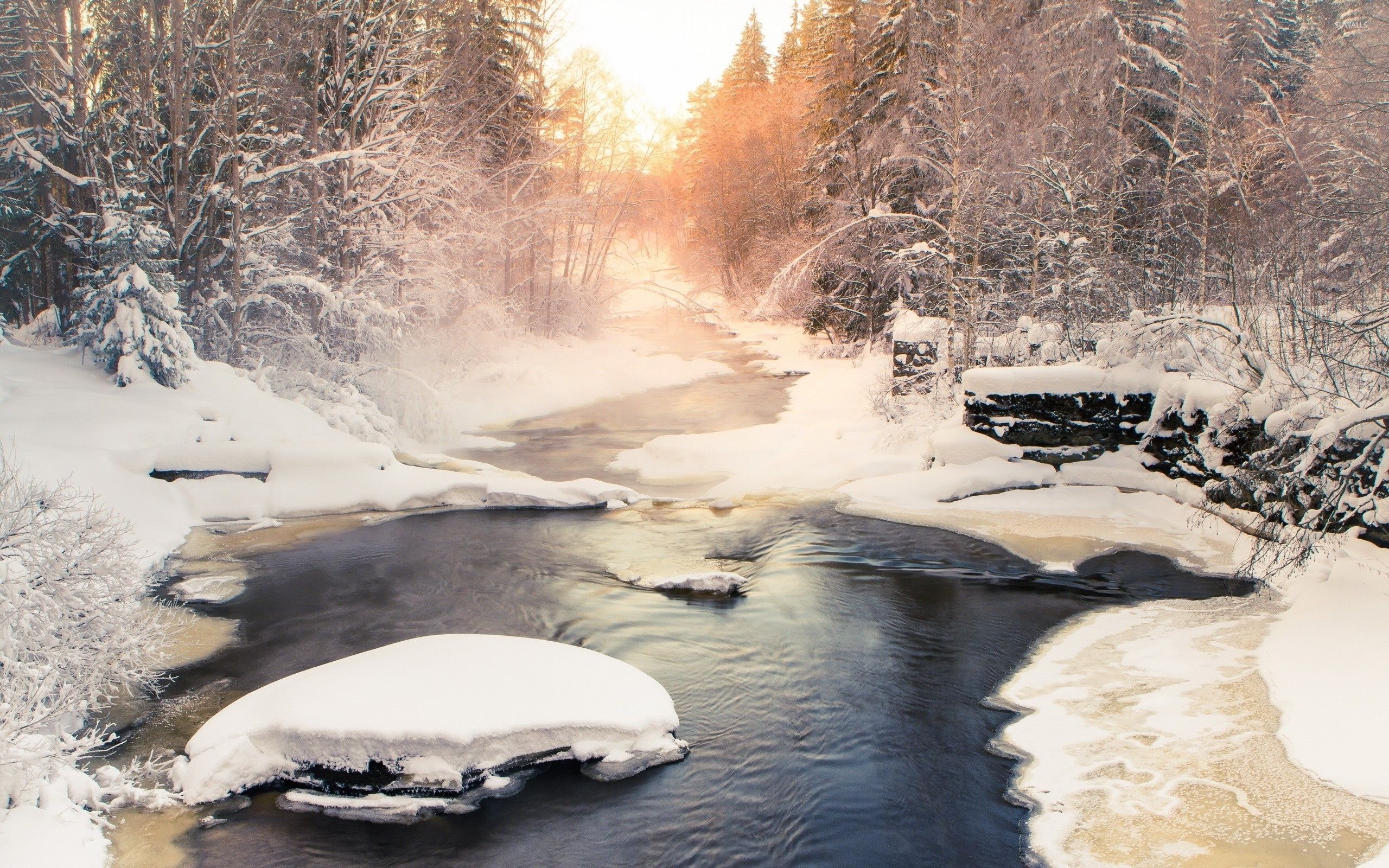 Winter River Wallpaper