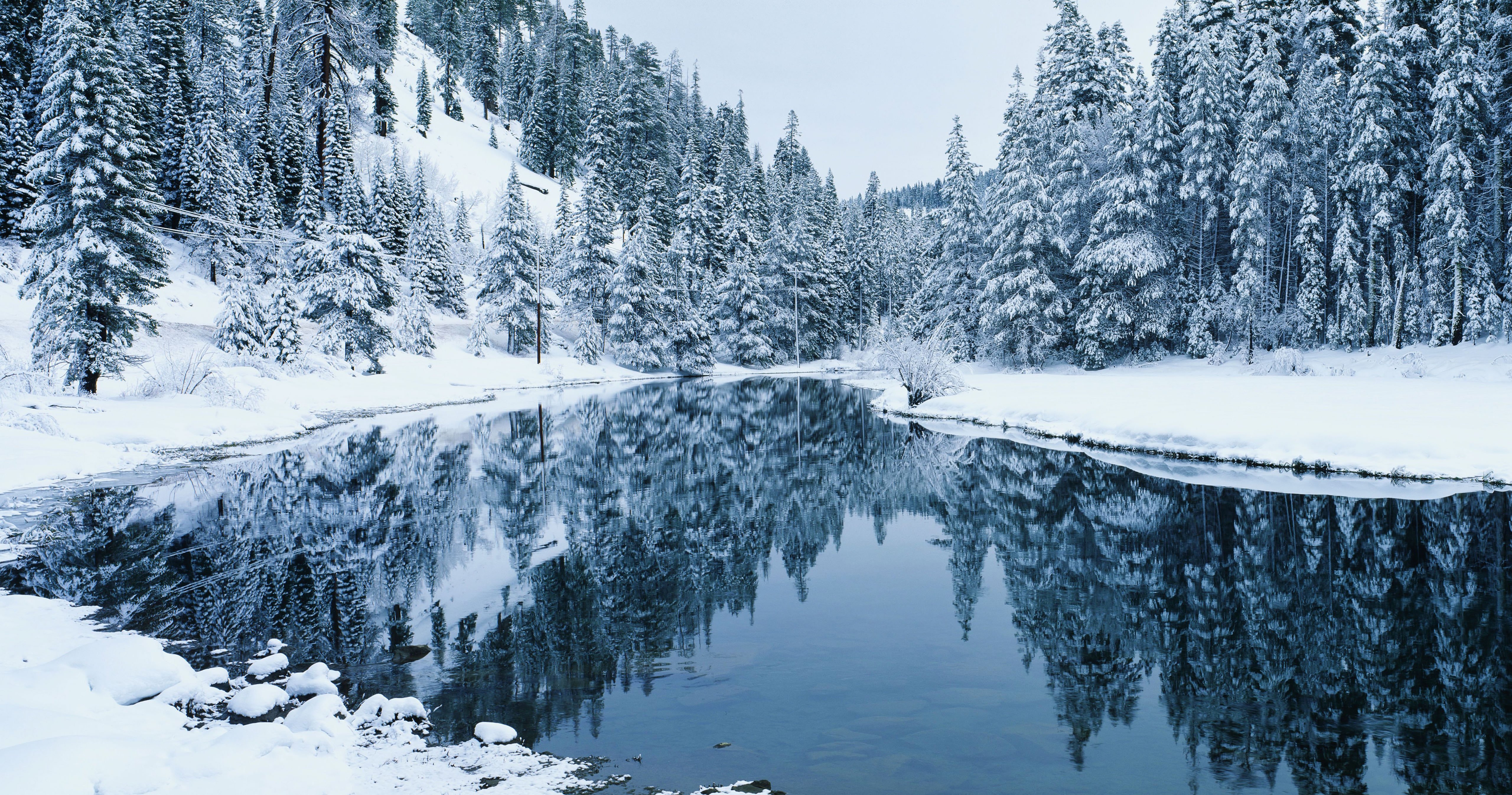 Зима лес красота