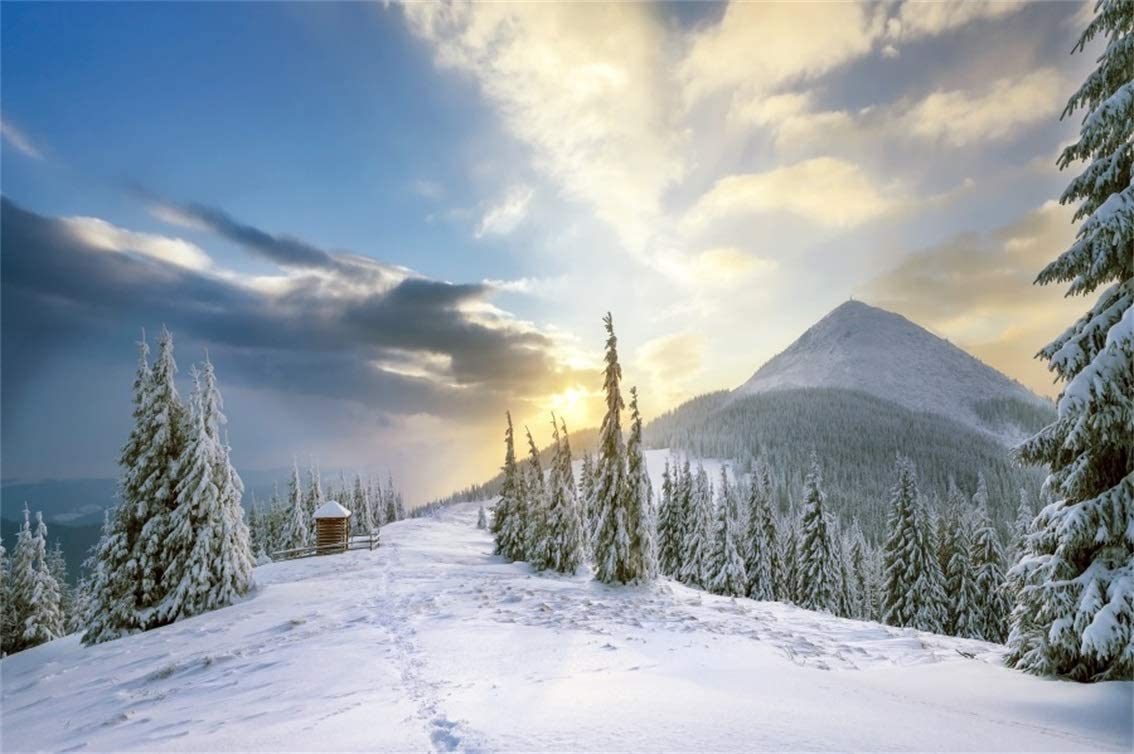 Amazon.com, Leyiyi 9x6ft Enchanted Winter Forest Backdrop Snow Covered Mountain Woodland Pine Trees Winter Camping Rustic Cottage Photography Background Merry Christmas New Year Photo Studio Prop Vinyl Wallpaper