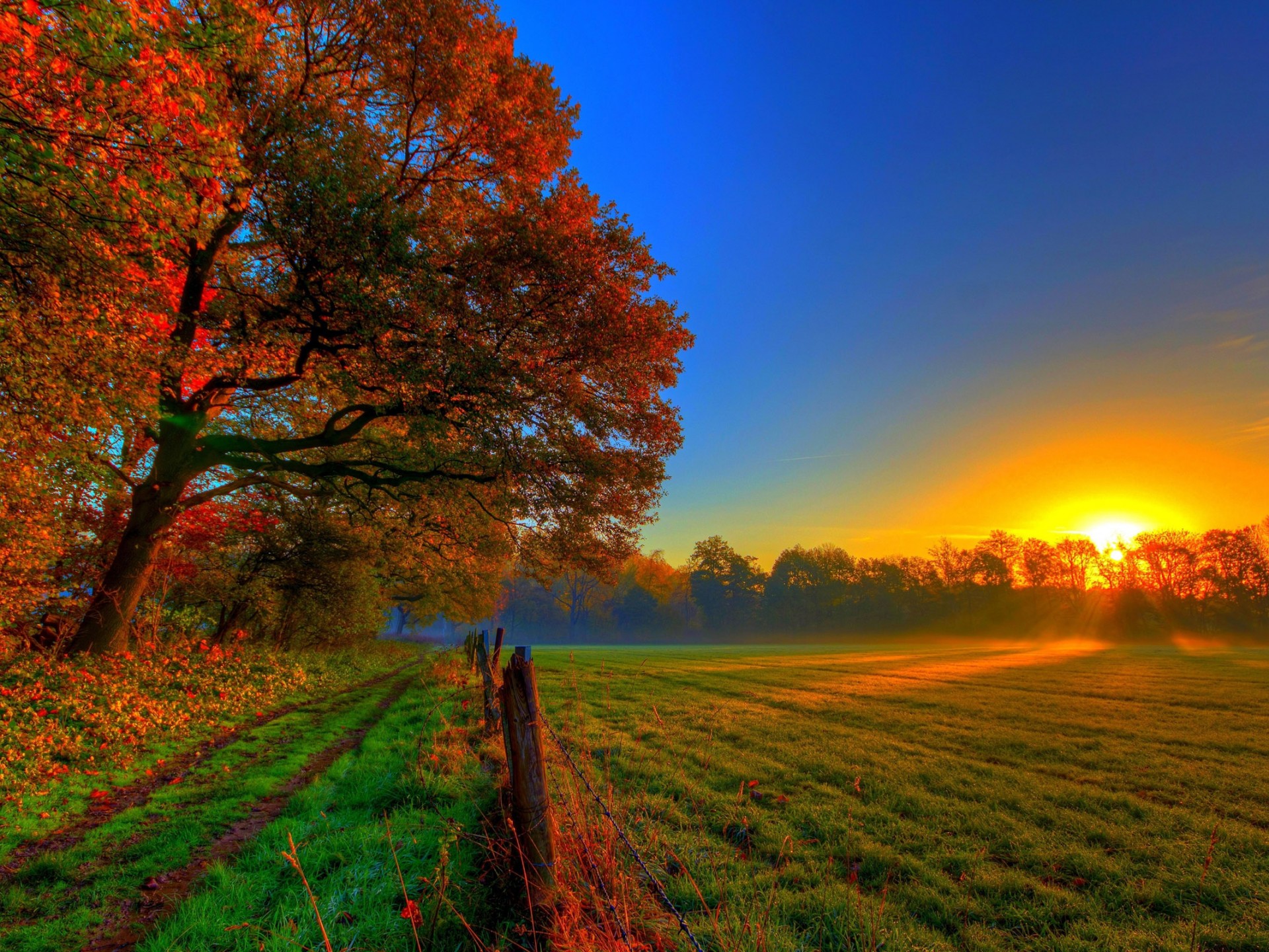 Nature Autumn Road Forest Colorful Path Leaves Trees Fall 2560x1600, Wallpaper13.com