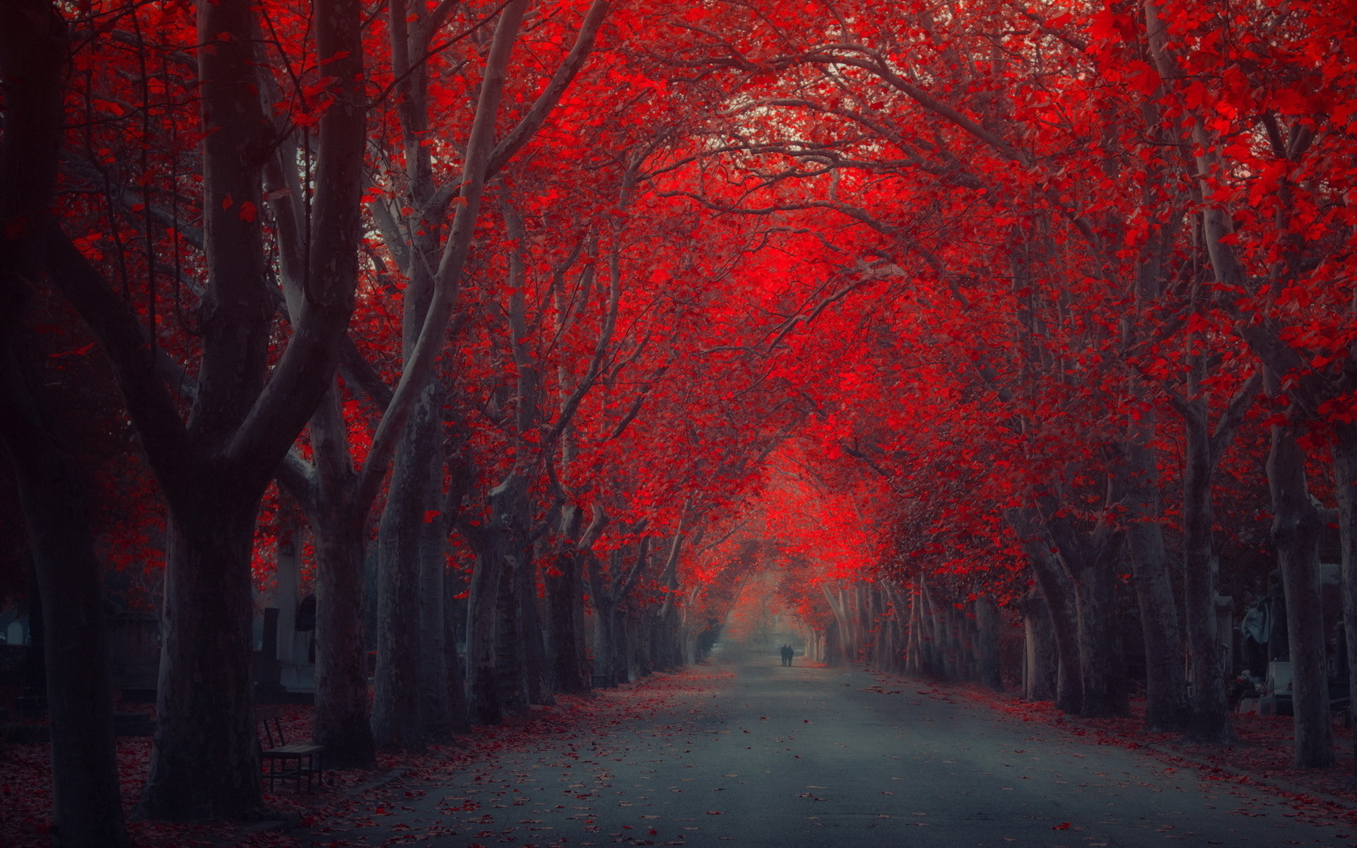 nature, Landscapes, Roads, Path, Trees, Park, Forests, Leaves, Autumn, Fall, Seasons, People, Couple, Love, Romance, Mood, Emotion, Art, Artistic, Painting, Colors, Red Wallpaper HD / Desktop and Mobile Background