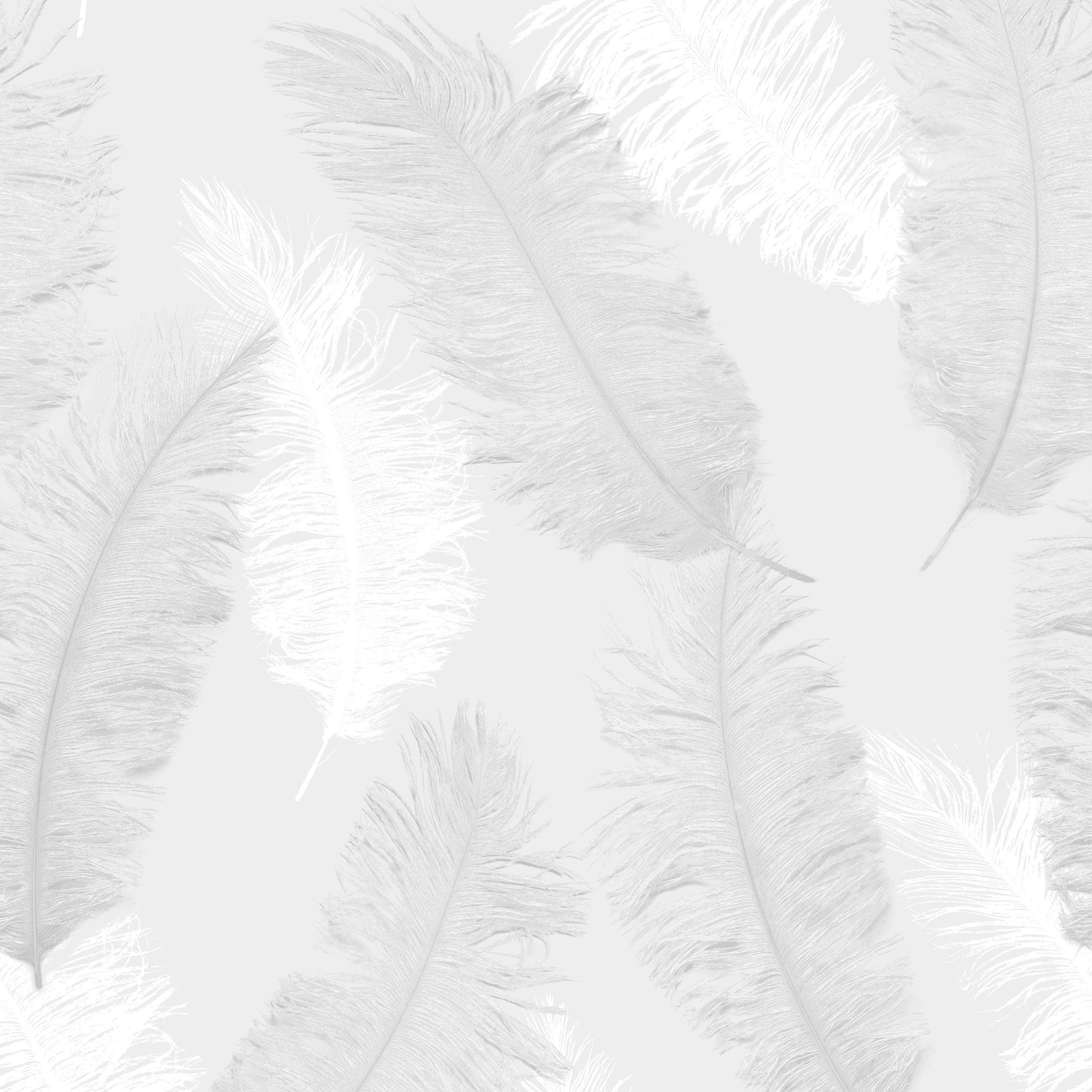 Feather Wallpaper Free Feather Background
