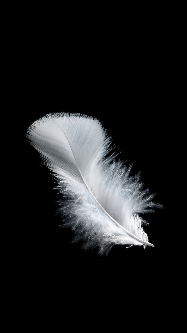White Feathers Aesthetic Wallpaper, Feathers Aesthetic White. Feather photography, Feather wallpaper, Black wallpaper