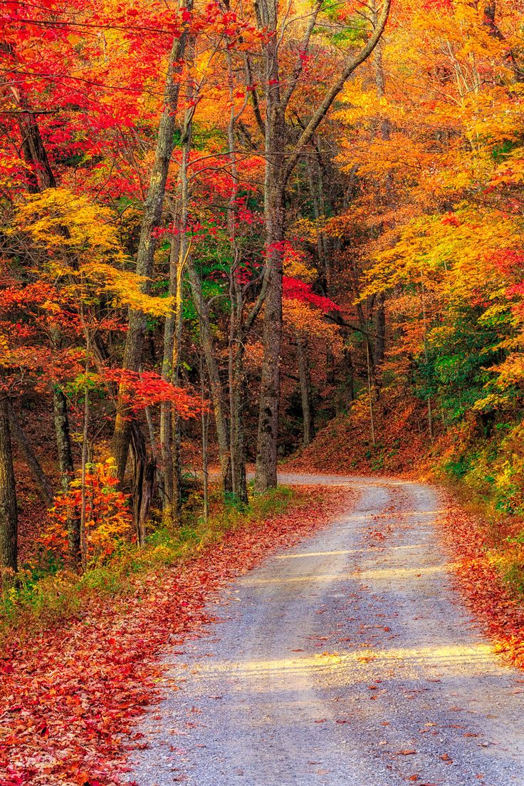 Rich Mt. Road. Colors. Red, orange, yellow, green. All Righ. Autumn scenery, Autumn landscape, Fall picture
