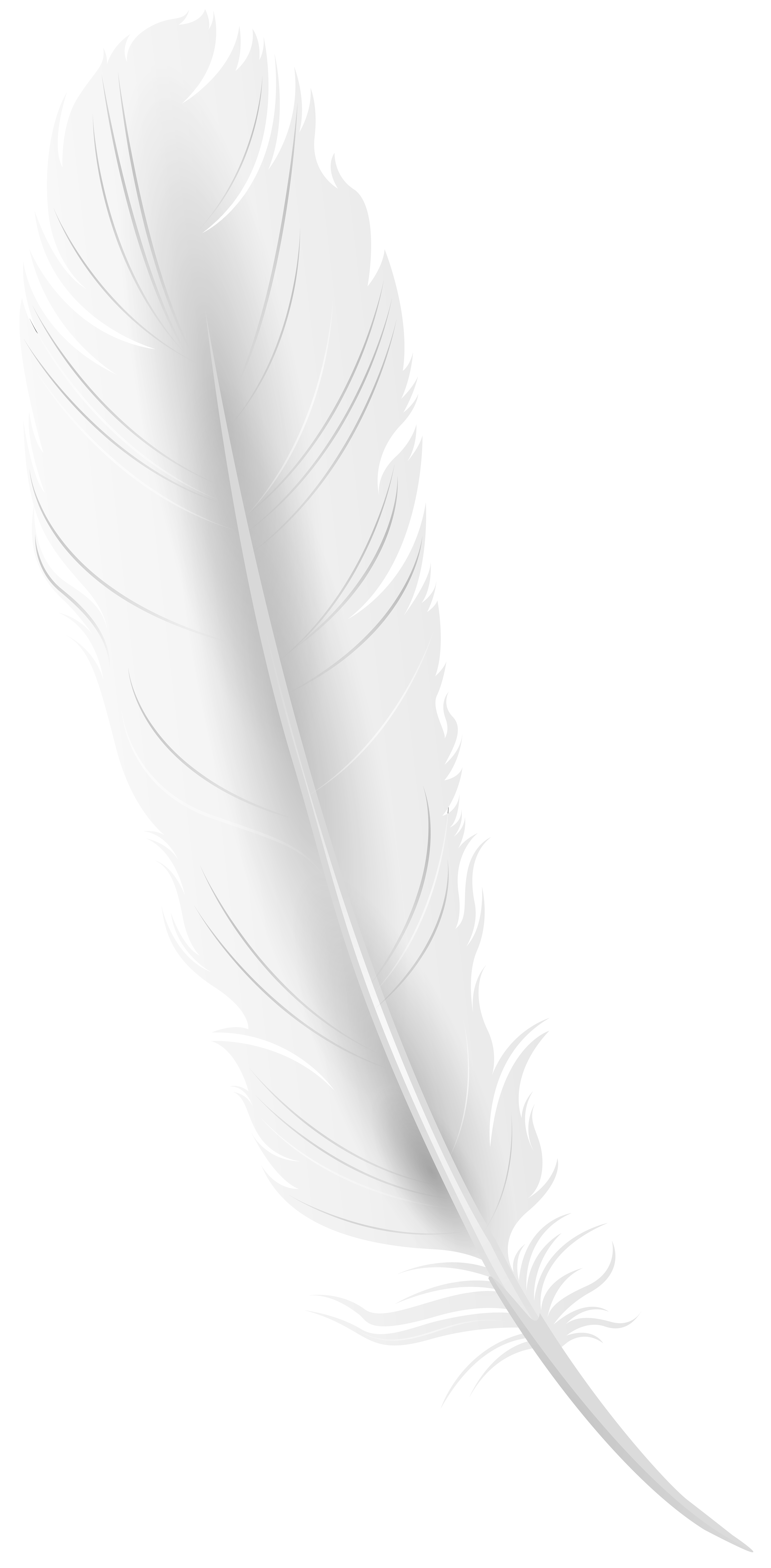 White Feather PNG Clip Art Image​-Quality Image and Transparent PNG Free Clipart