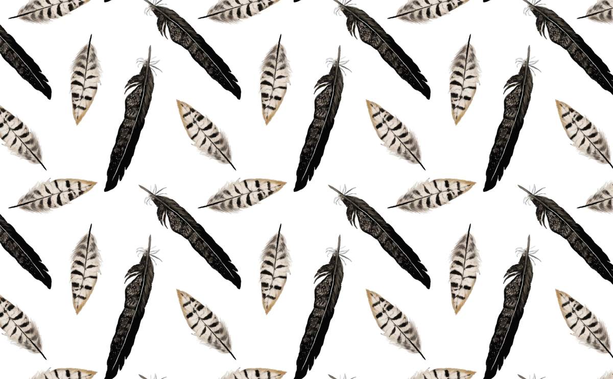 Feathers Wallpaper for Walls. Black and White Feathers