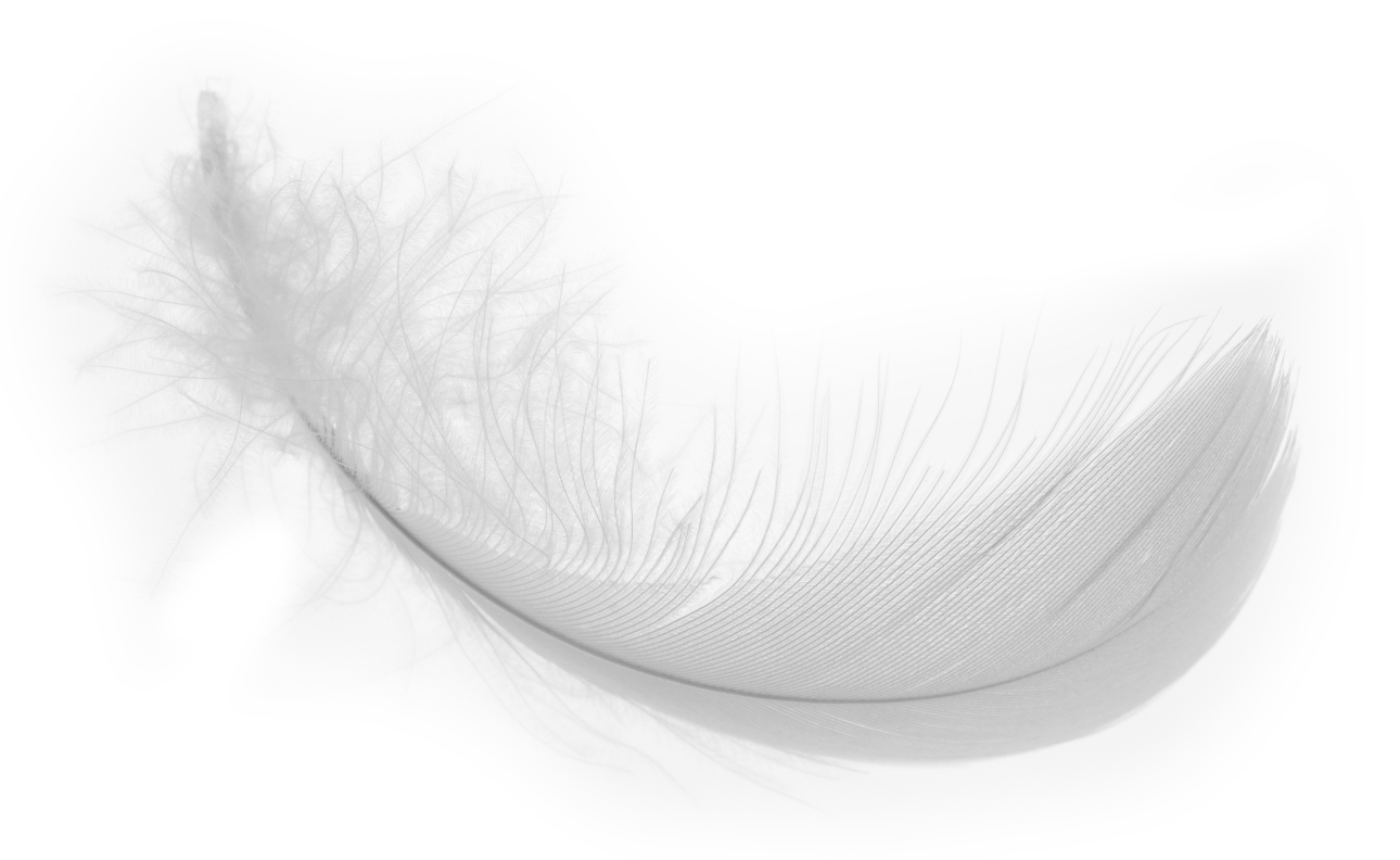 White Feather Wallpapers Wallpaper Cave Wp10072421
