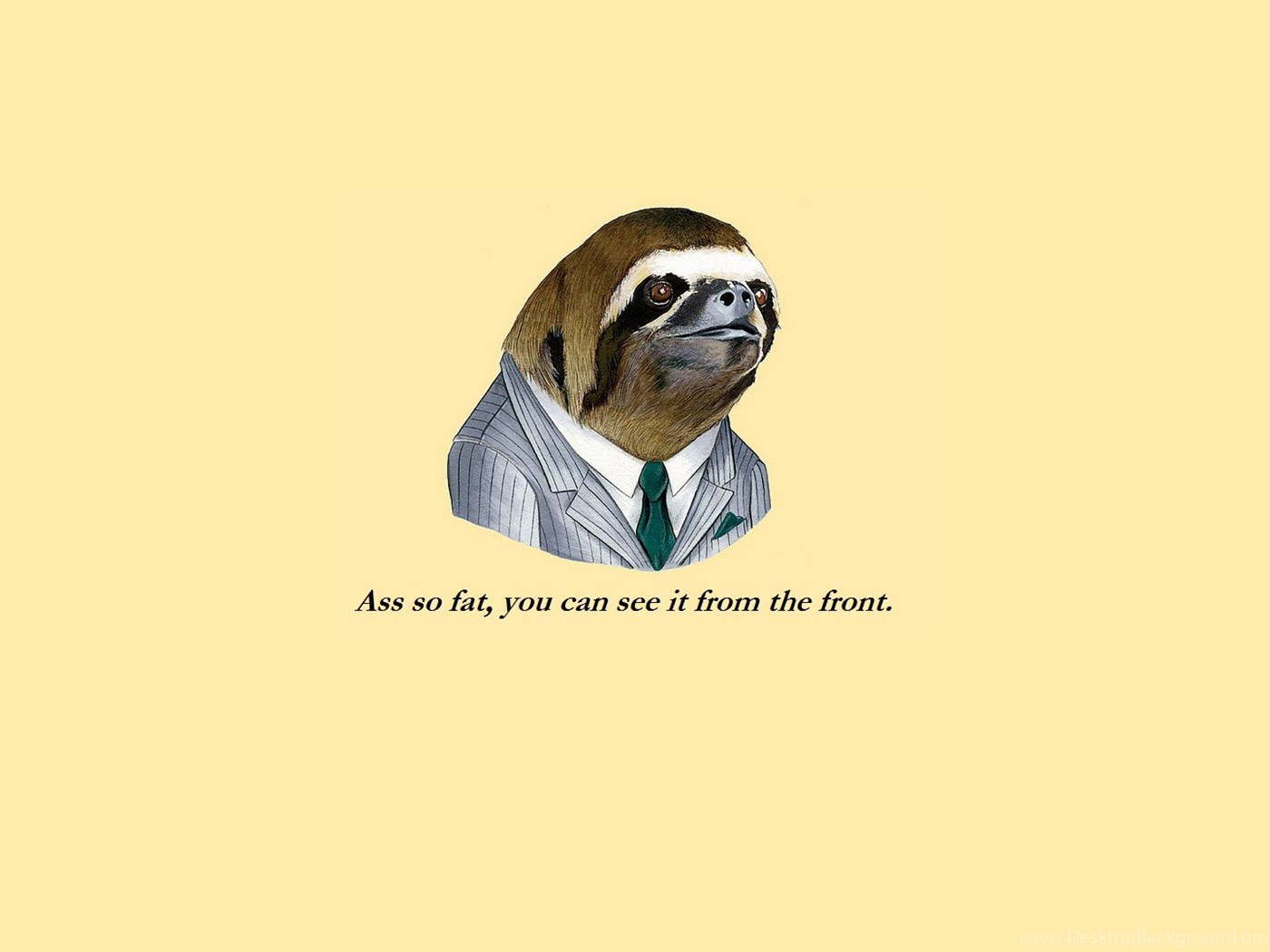 Funny Sloth Face Meme HD Wallpaper Desktop Background