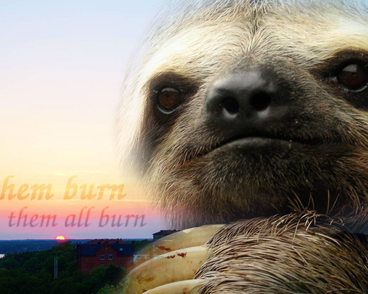 Free download Funny Sloth iPhone Wallpaper [1920x1080] x post rsloth [1920x1080] for your Desktop, Mobile & Tablet. Explore Funny Sloth Wallpaper. Free Wallpaper Sloth, HD Sloth Wallpaper, Baby Sloth Wallpaper