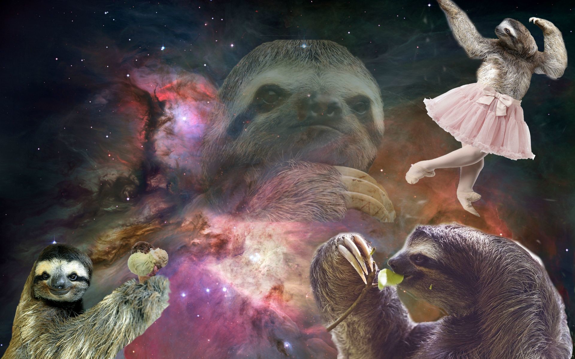 sloth wallpaper for desktop