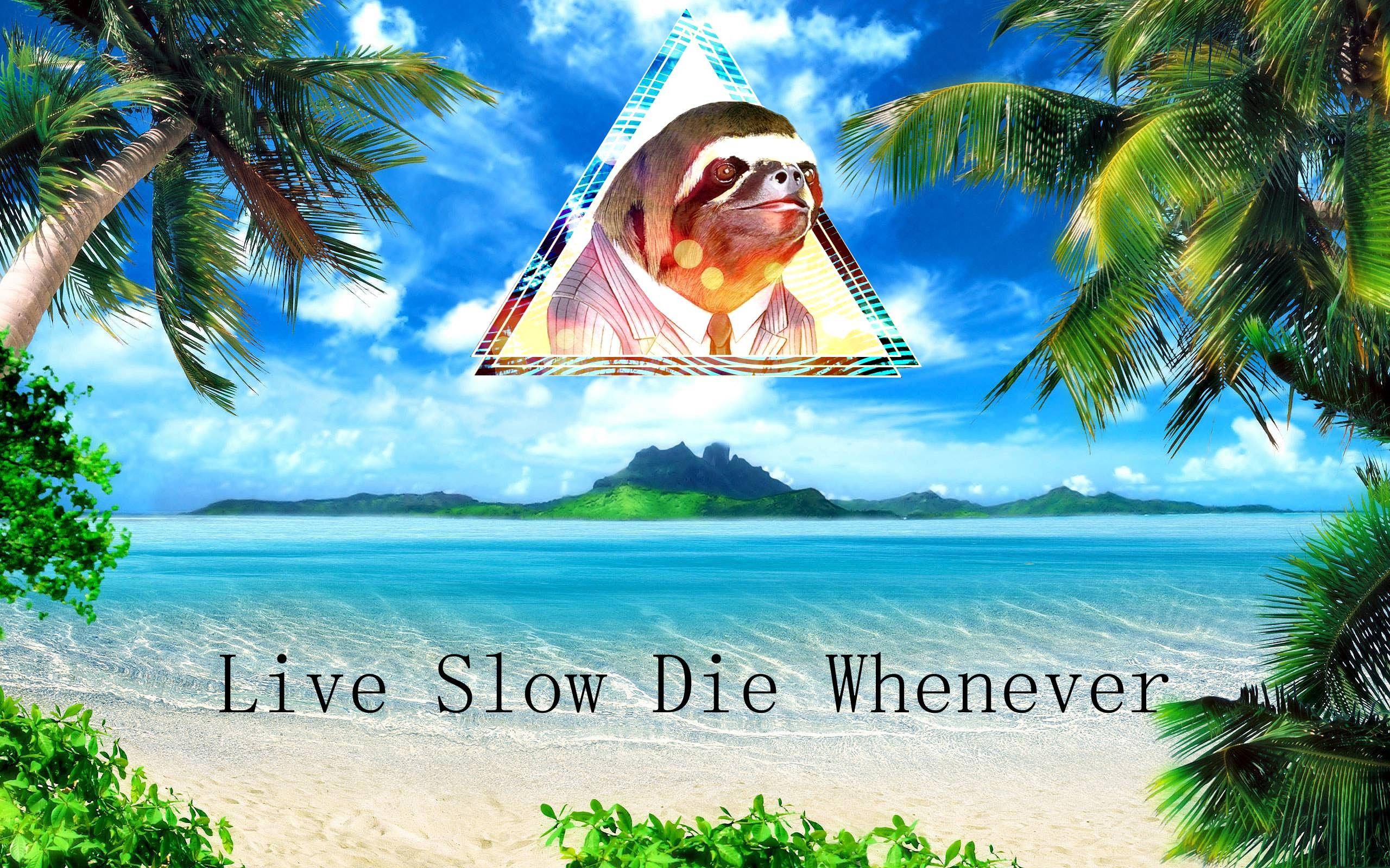 #artwork, #humor, #motivational, #sloths, wallpaper. Mocah HD Wallpaper