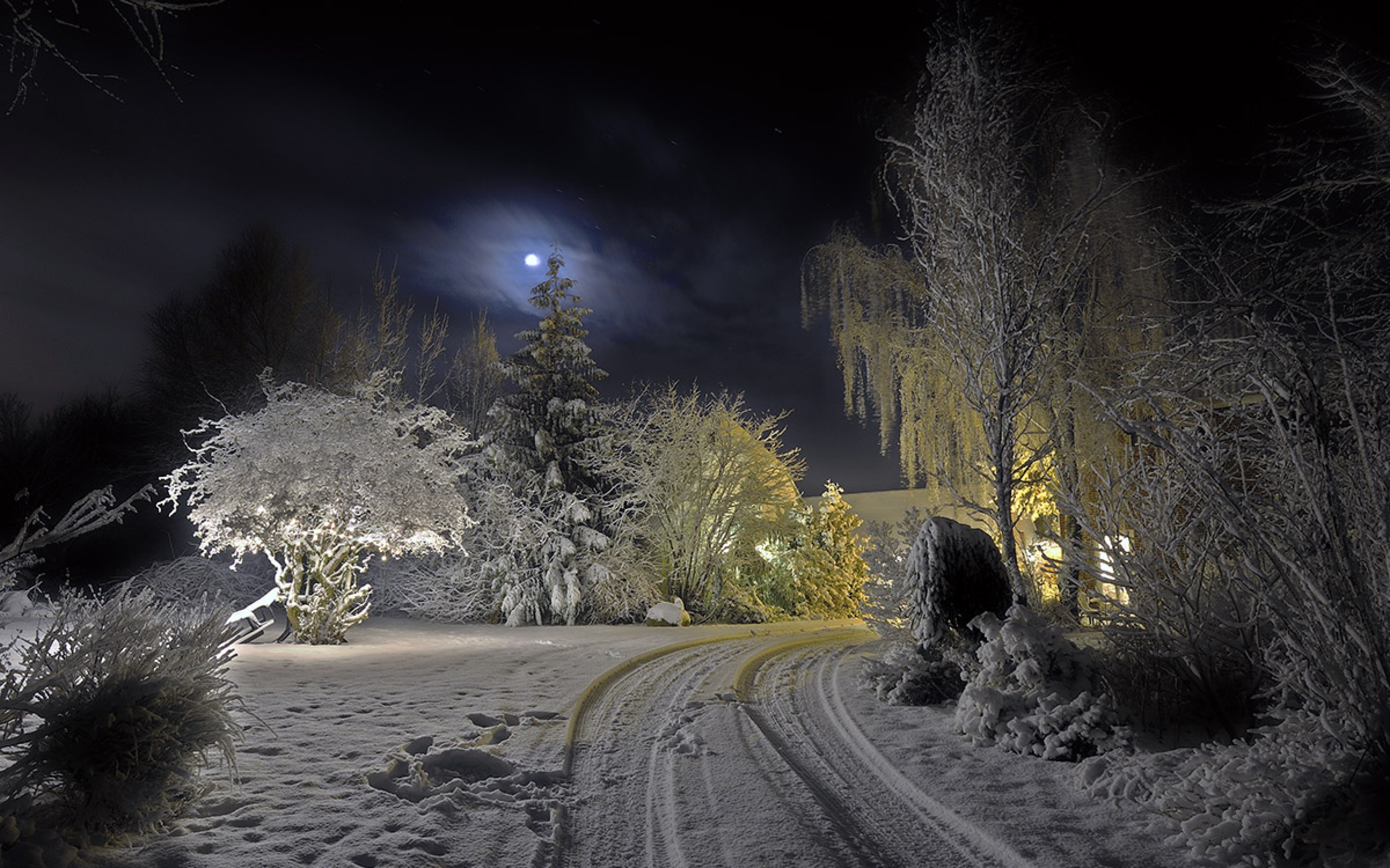 Free download winter night road background wallpaper 2560x1600 [2560x1600] for your Desktop, Mobile & Tablet. Explore Night Winter Wallpaper. Winter Night Sky Wallpaper, Desktop Wallpaper Snowy Night Scenes, Winter