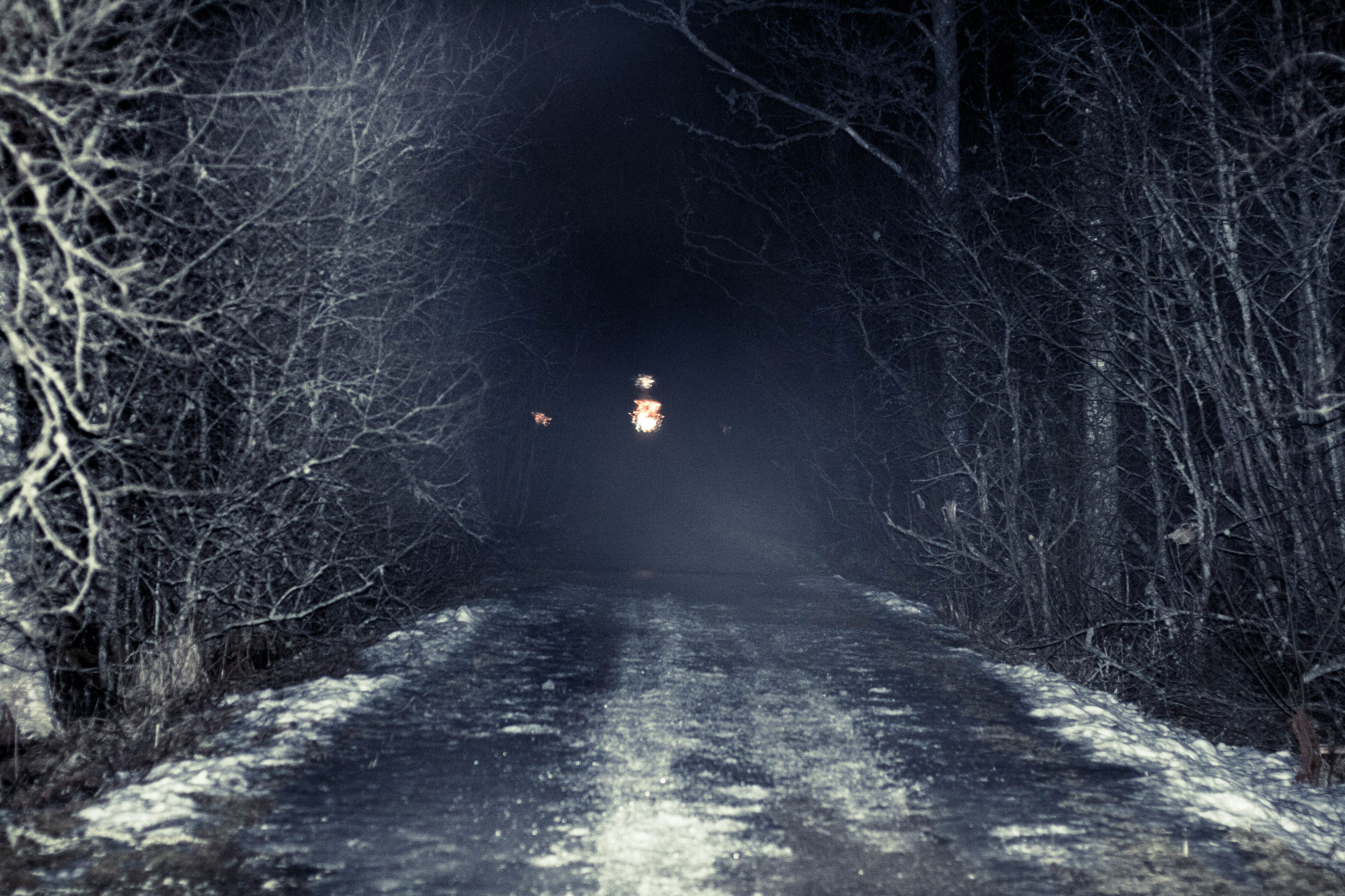 Мрачный снег. Дорога в лесу ночью. Темная дорога в лесу. Страшная зима. Ночная зимняя дорога.