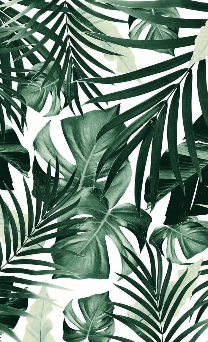 Tropical Jungle Leaves Pattern #tropical #decor #art #society6 Window Curtains. Leaves wallpaper iphone, Plant wallpaper, Leaf wallpaper