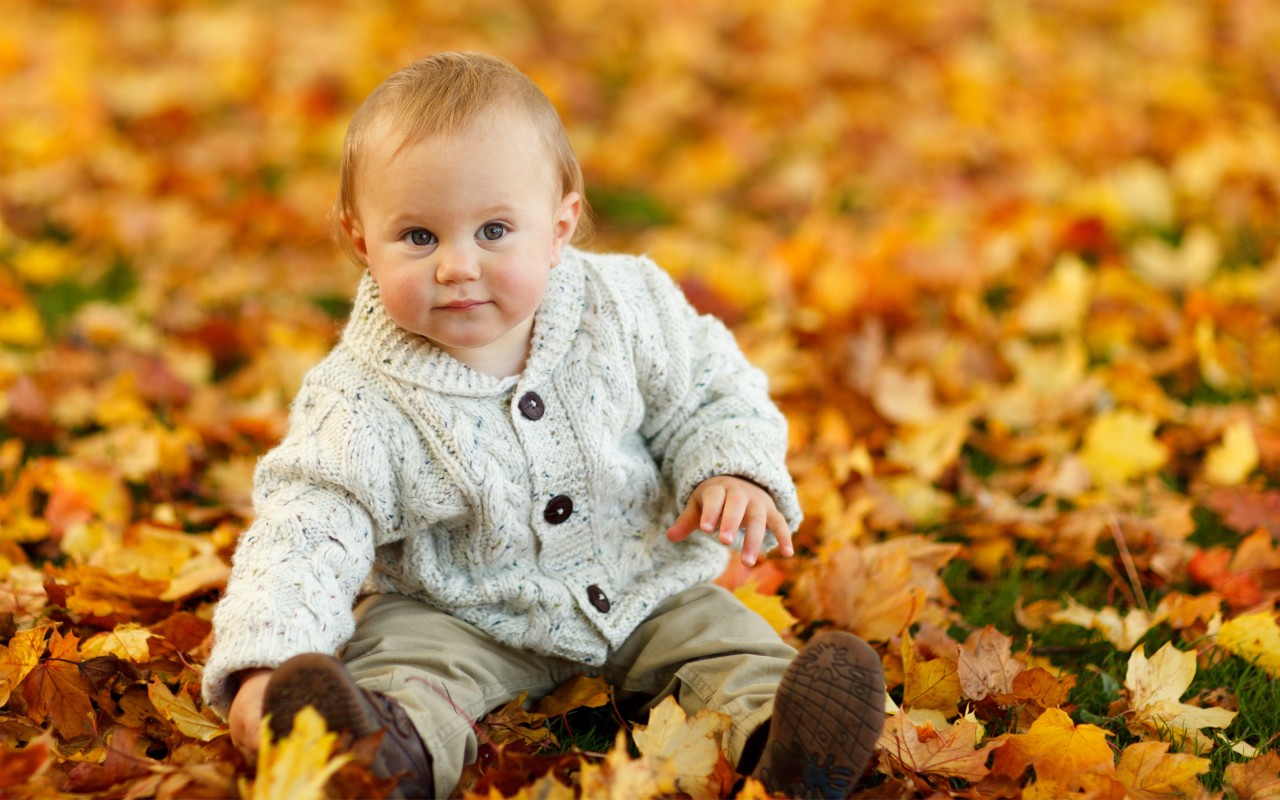 Cute Baby Boy Autumn Leaves Wallpaper 3D Models. Free