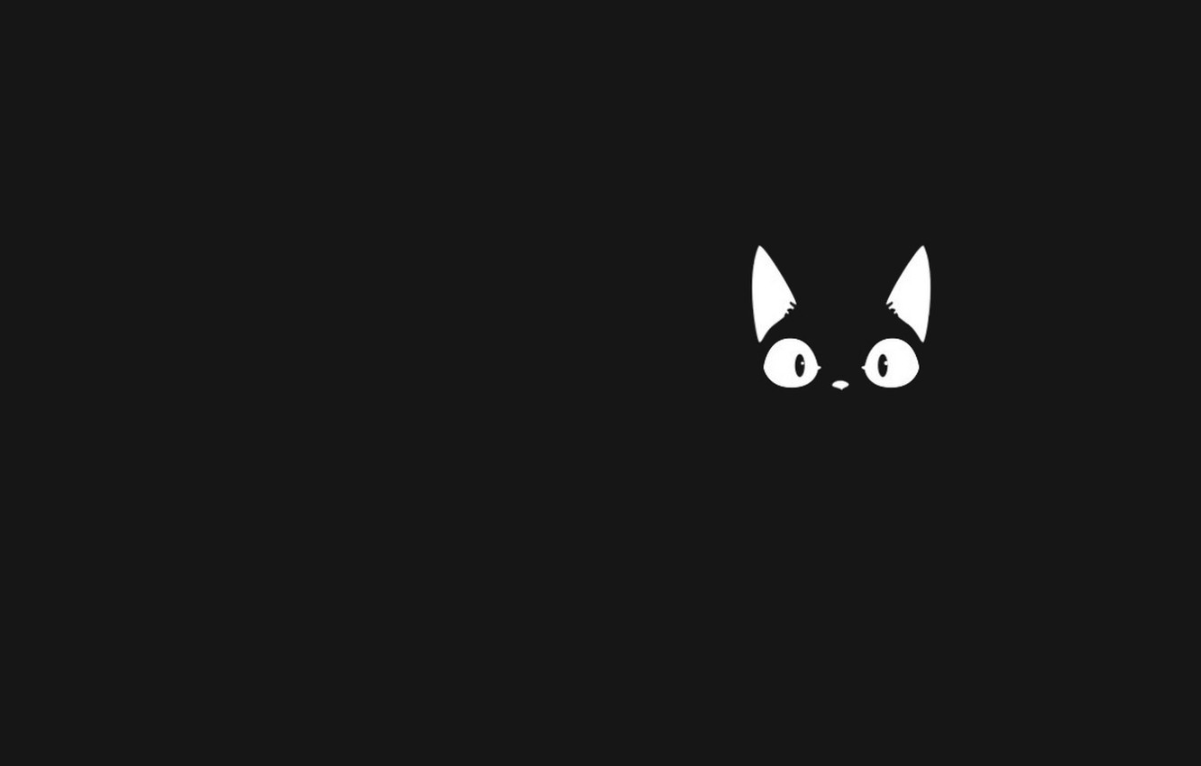 Wallpaper cat, eyes, art, kitty, neko, ears image for desktop, section минимализм