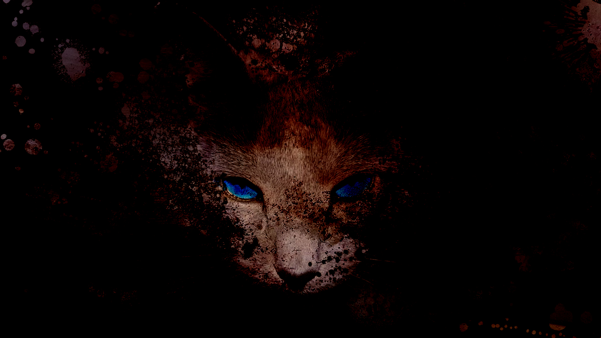 Wallpaper, cat eyes, cat ears, ash, fire, red, animals, animal eyes, animal ears 1920x1080